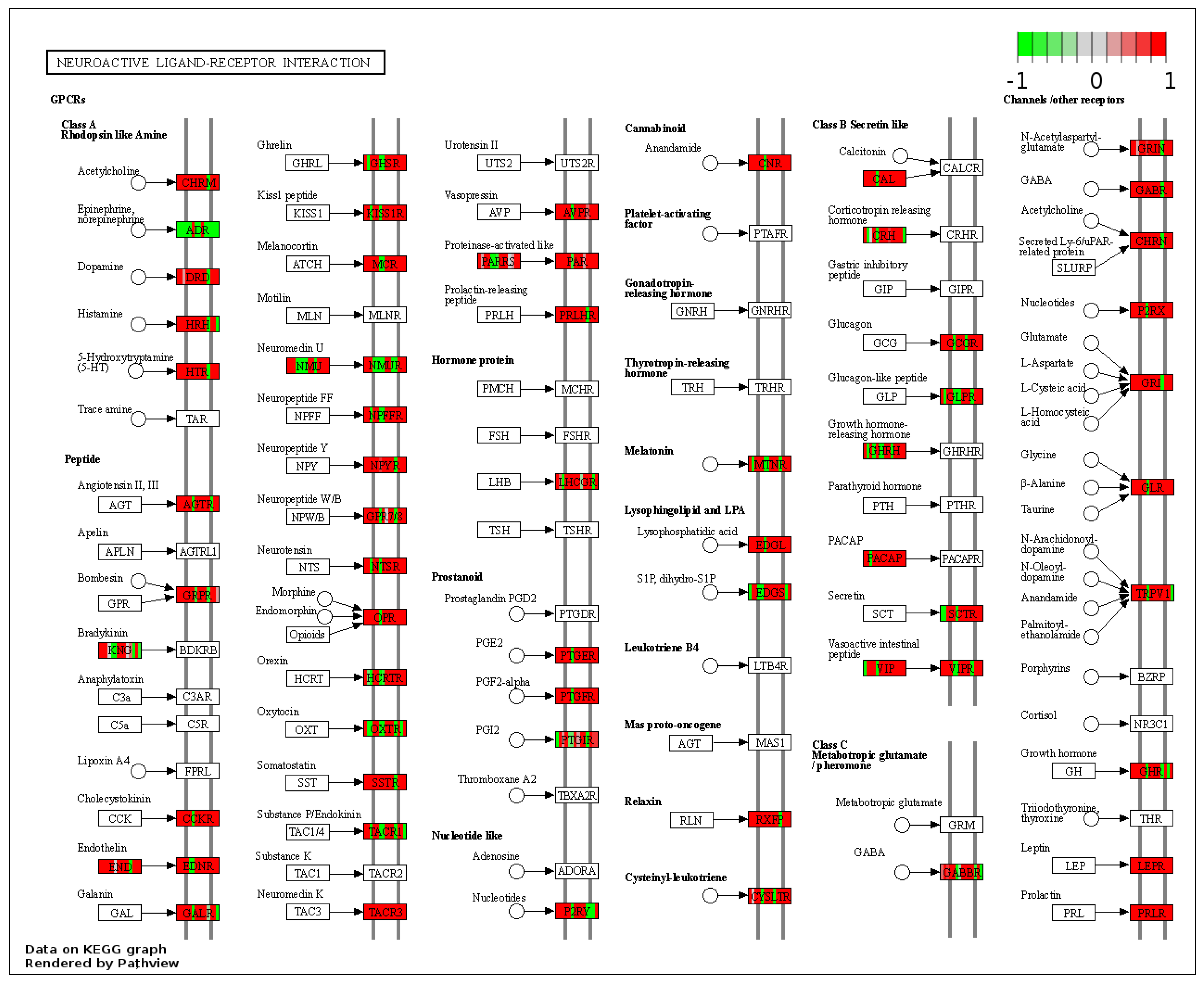 Nutrients 14 00116 g003 Nutrients 14 00116 g003