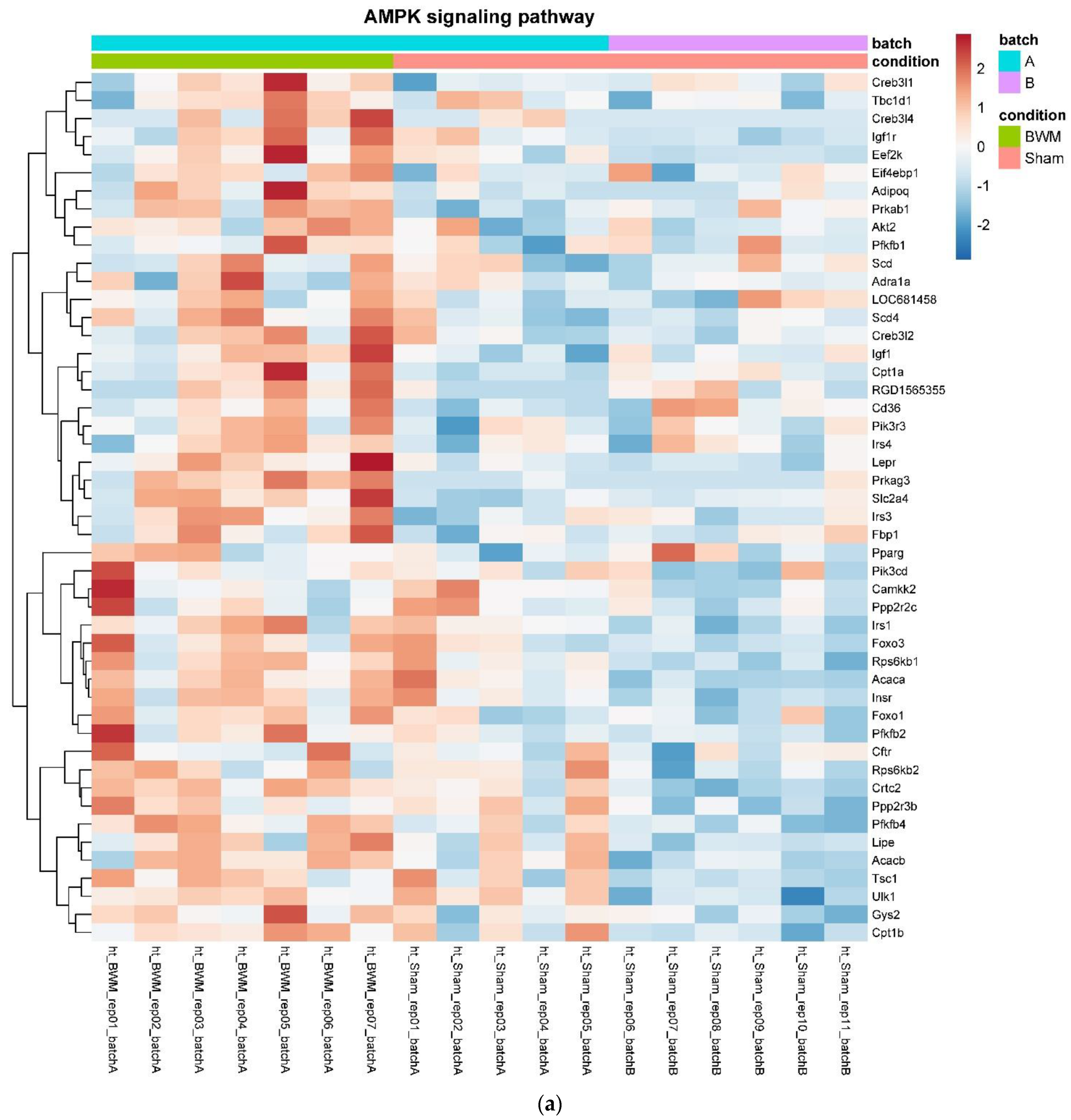 Nutrients 14 00116 g004a Nutrients 14 00116 g004a