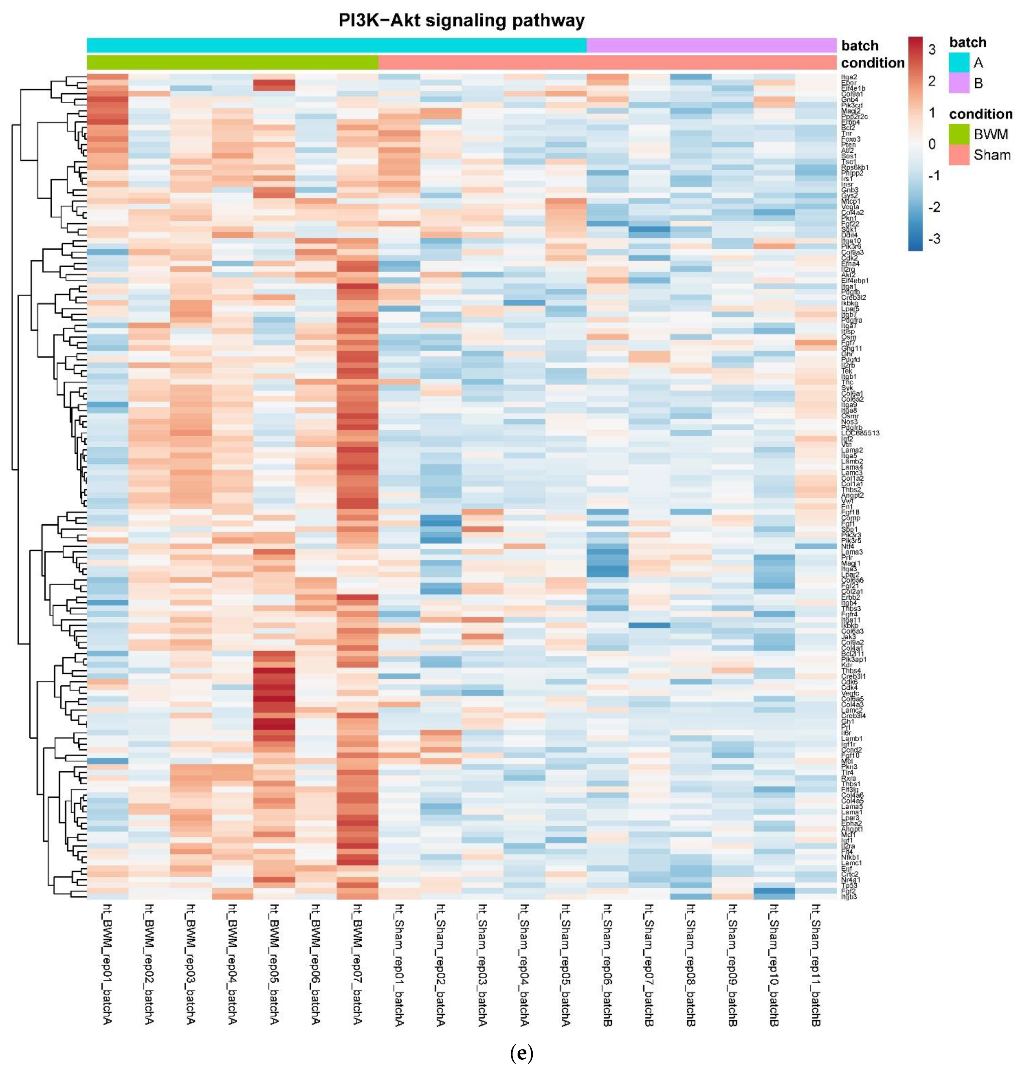 Nutrients 14 00116 g004e Nutrients 14 00116 g004e