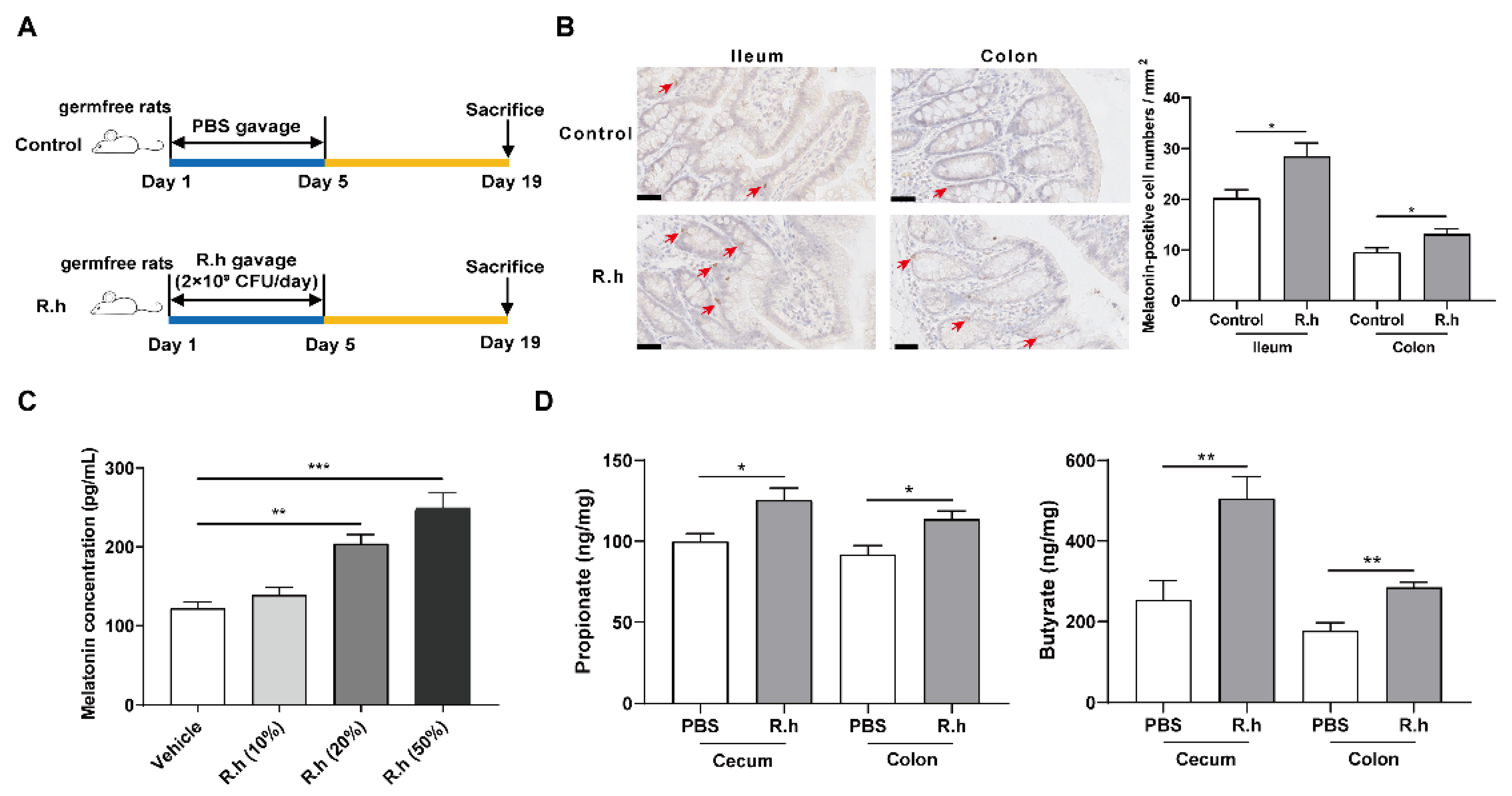 Nutrients 14 00117 g001 550
