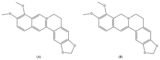おすすめネット Absorption Kinetics and Dihydroberberine and Berberine of その他