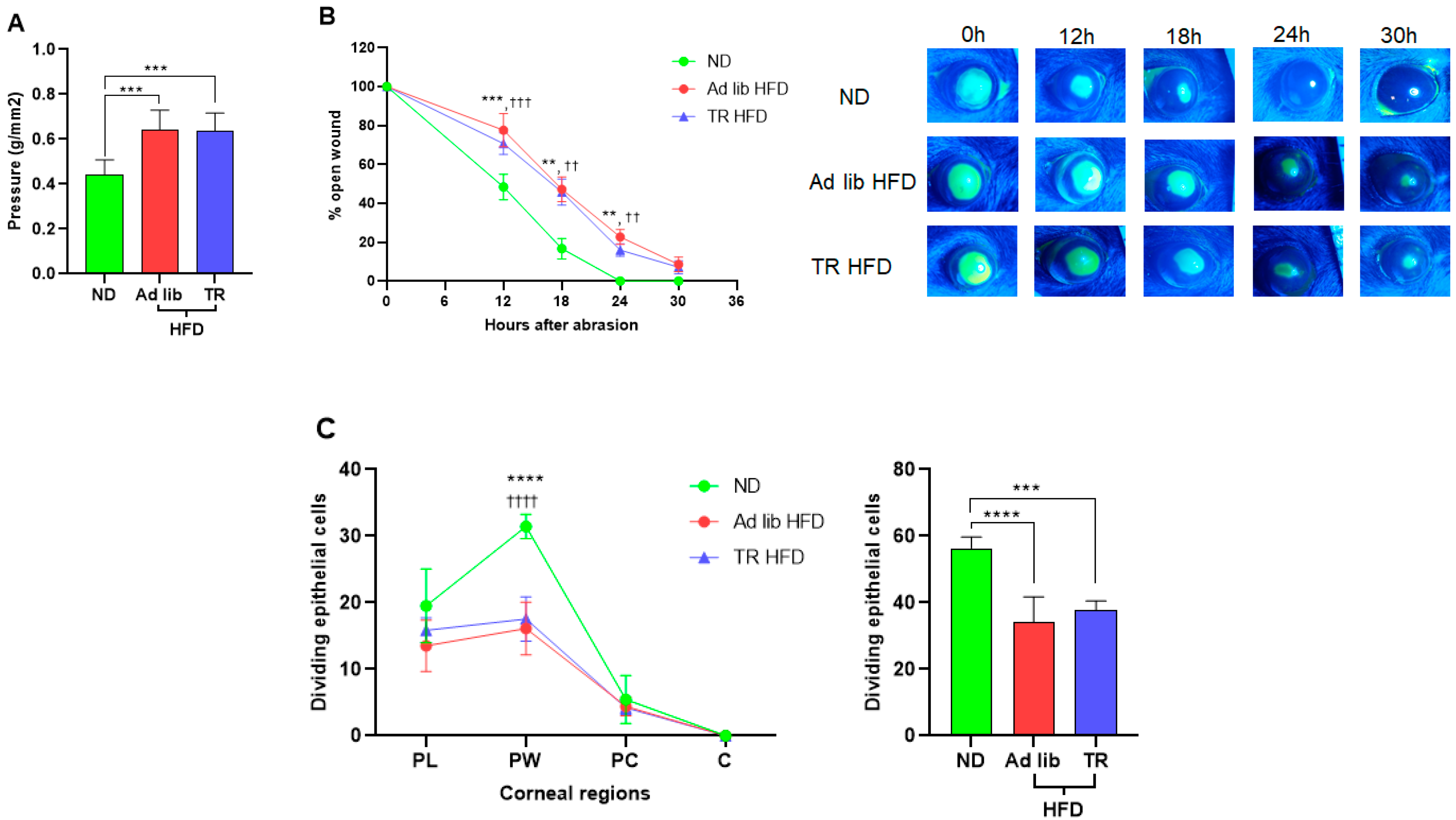 Nutrients 14 00139 g002 550