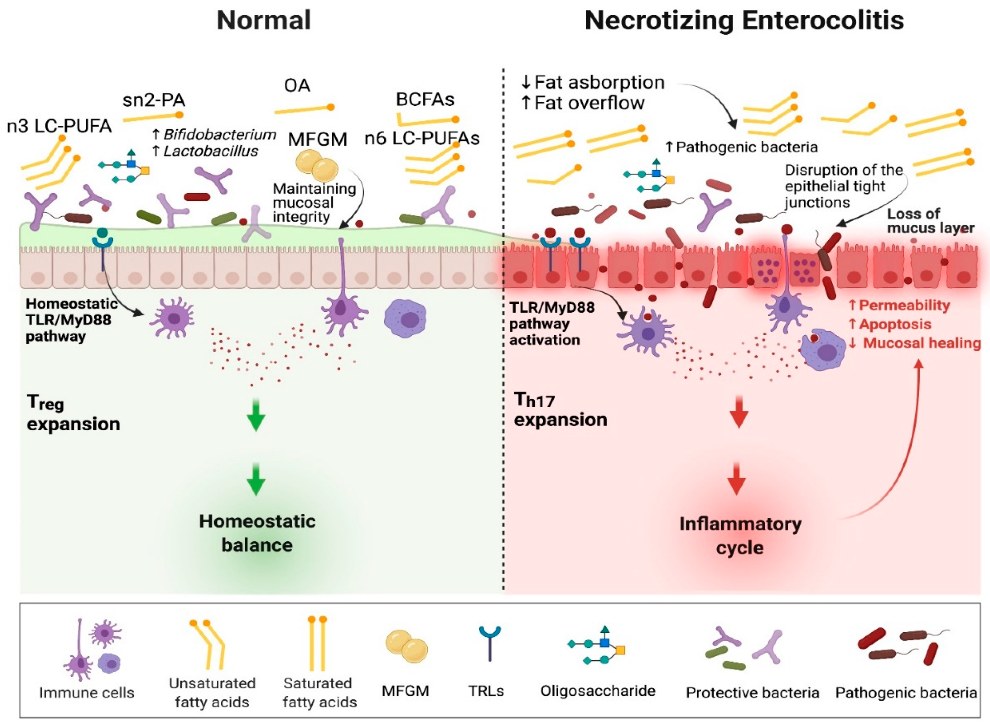 Nutrients 14 00145 g002 Nutrients 14 00145 g002