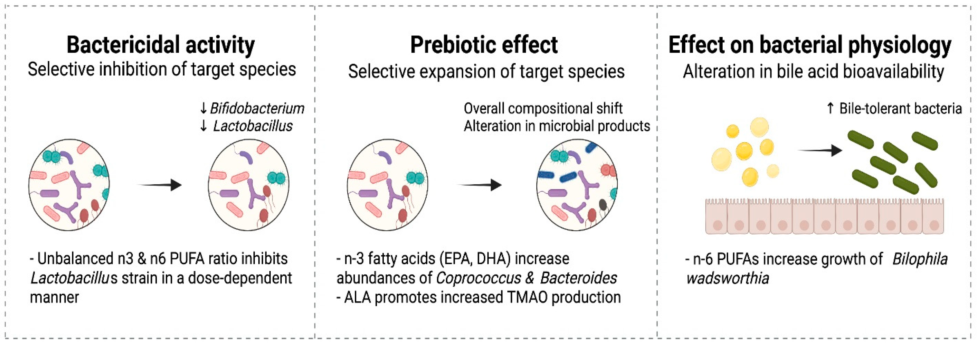 Nutrients 14 00145 g003 Nutrients 14 00145 g003