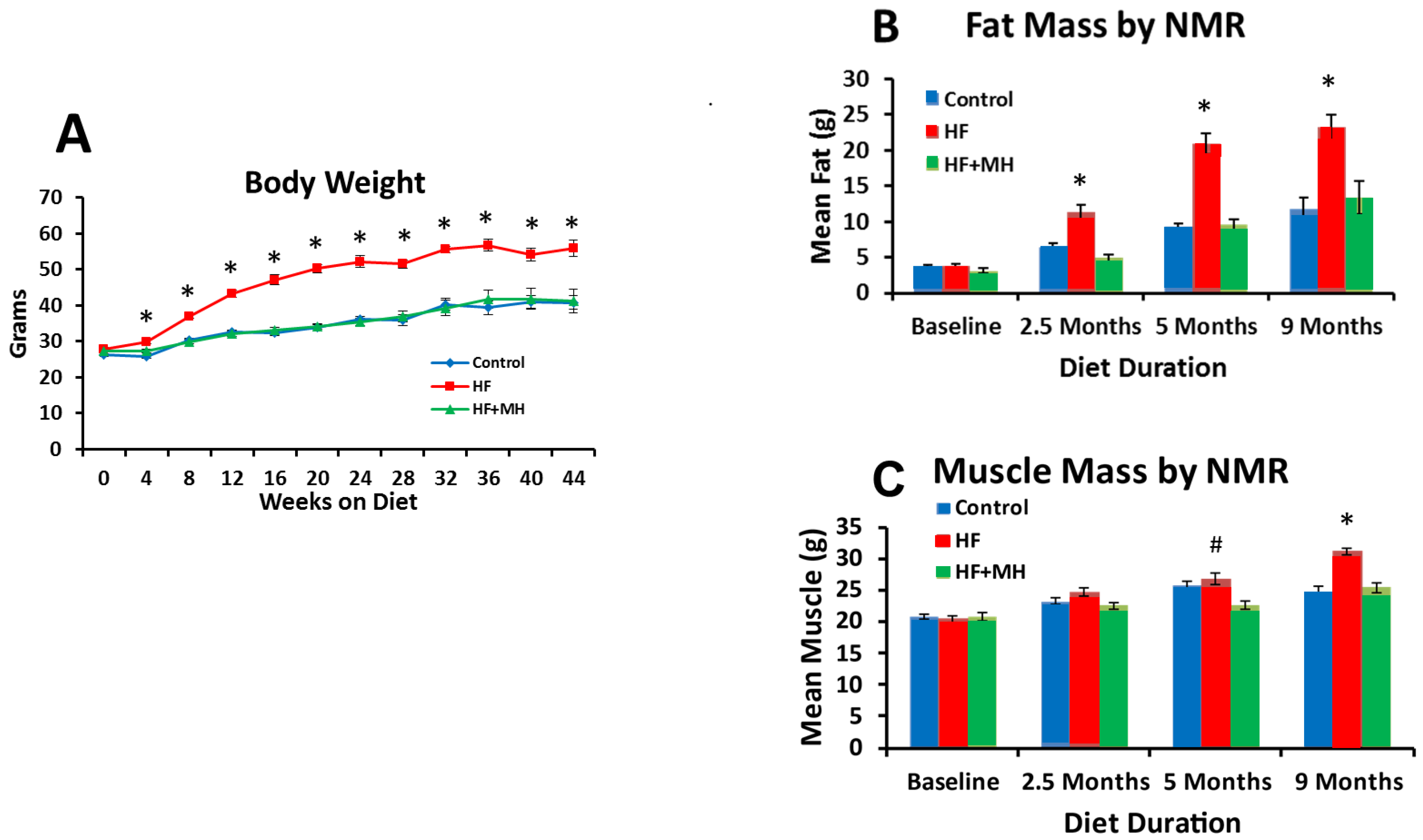 Nutrients 14 00155 g001 Nutrients 14 00155 g001