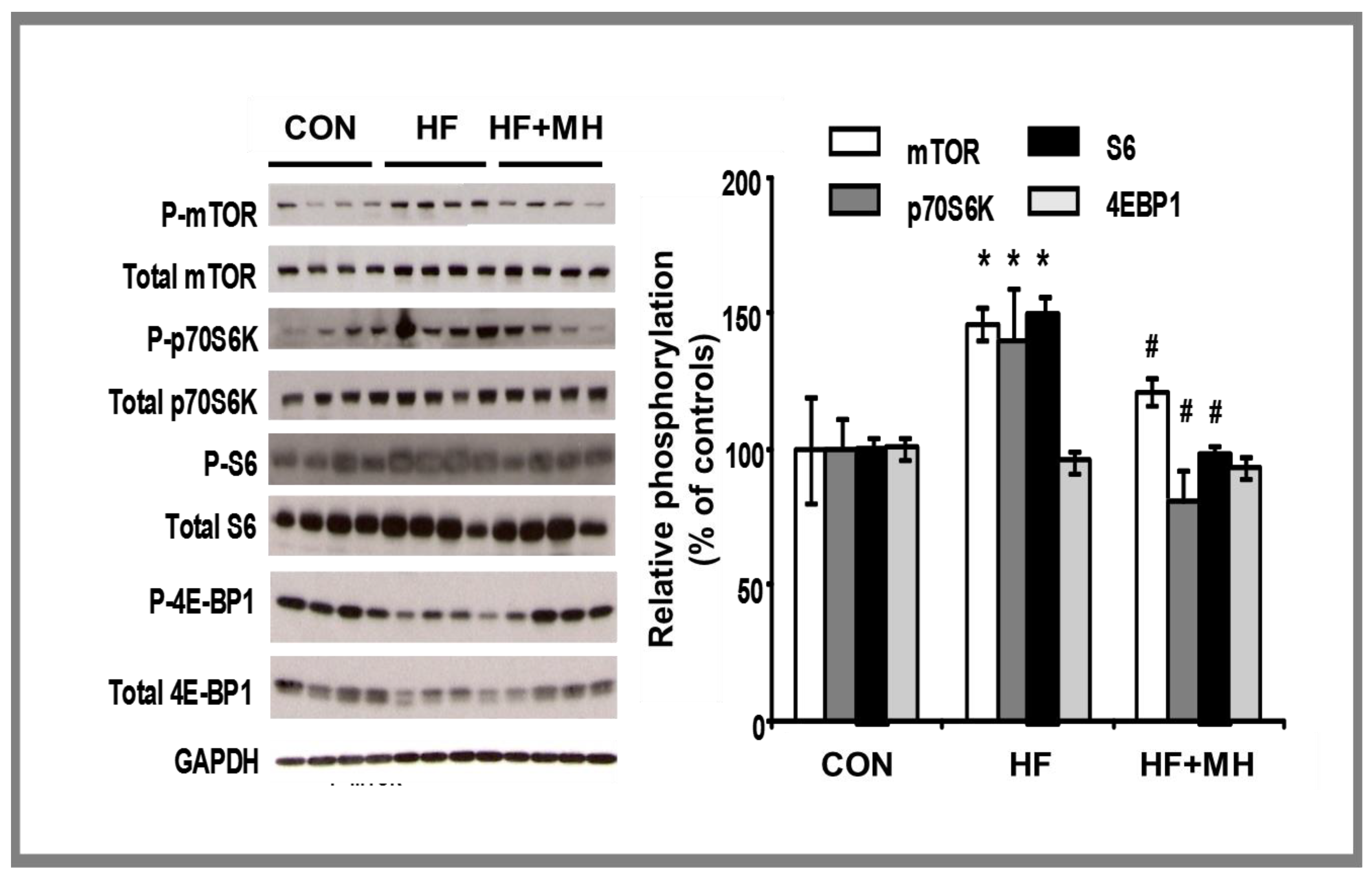 Nutrients 14 00155 g009 Nutrients 14 00155 g009