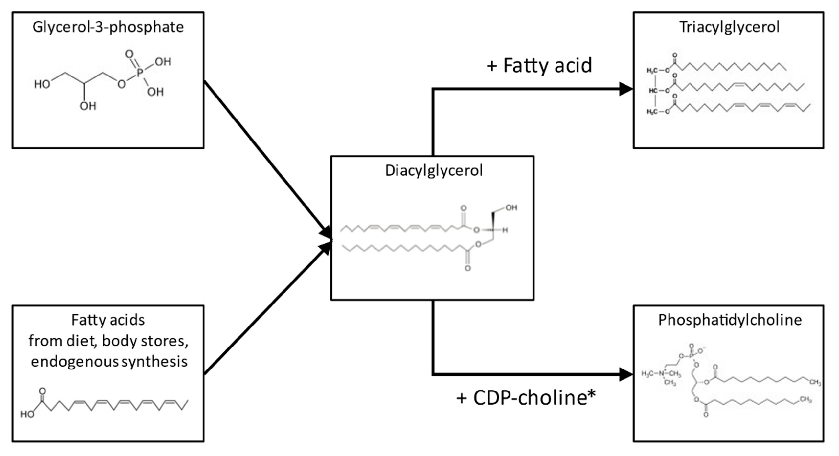 Nutrients 14 00158 g003