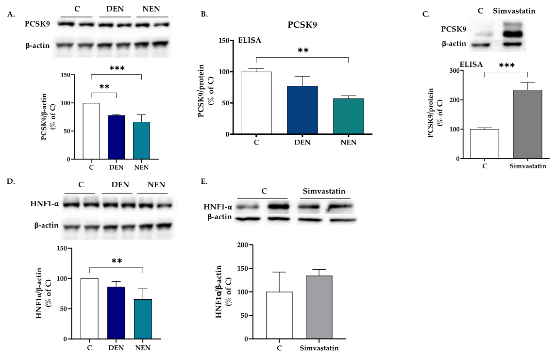 Nutrients 14 00193 g003 Nutrients 14 00193 g003