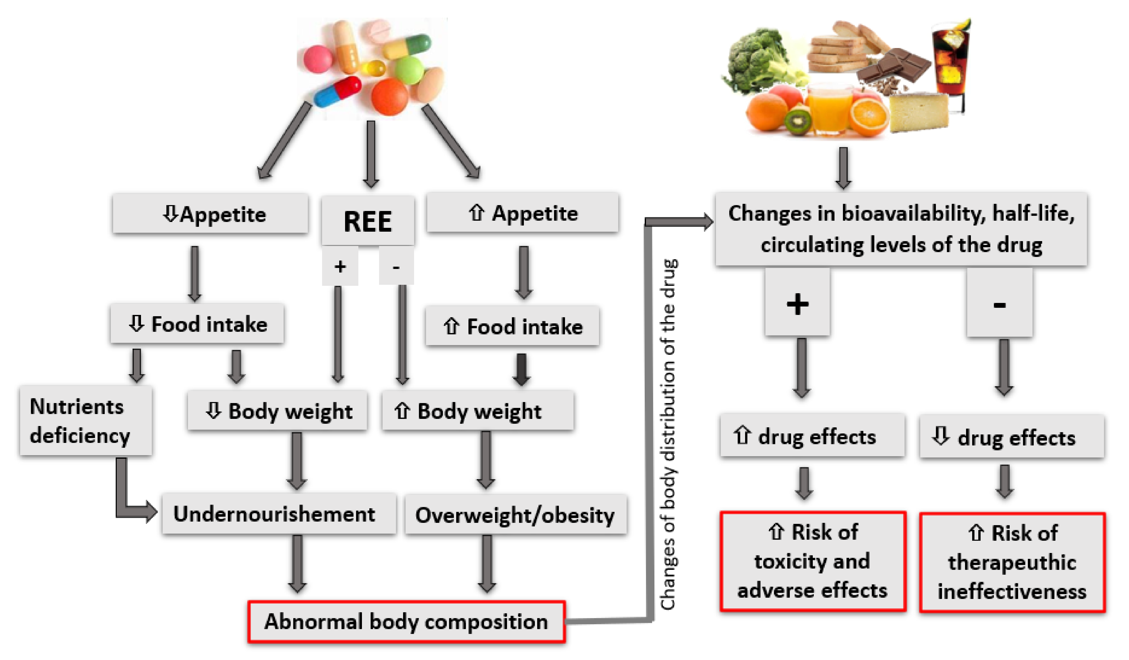 Food Drug Interactions food-drug-interactions