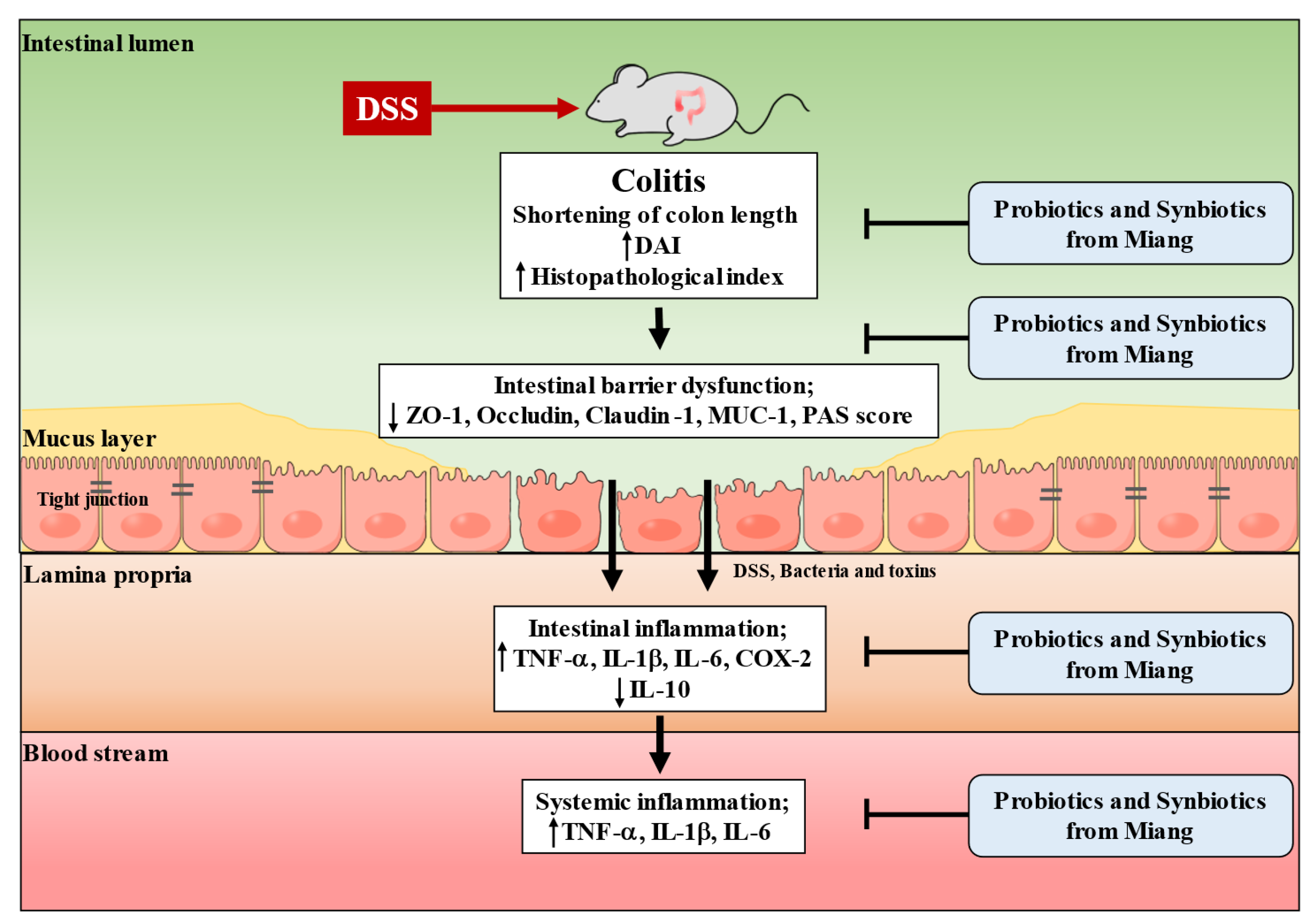 Nutrients 14 00227 g008