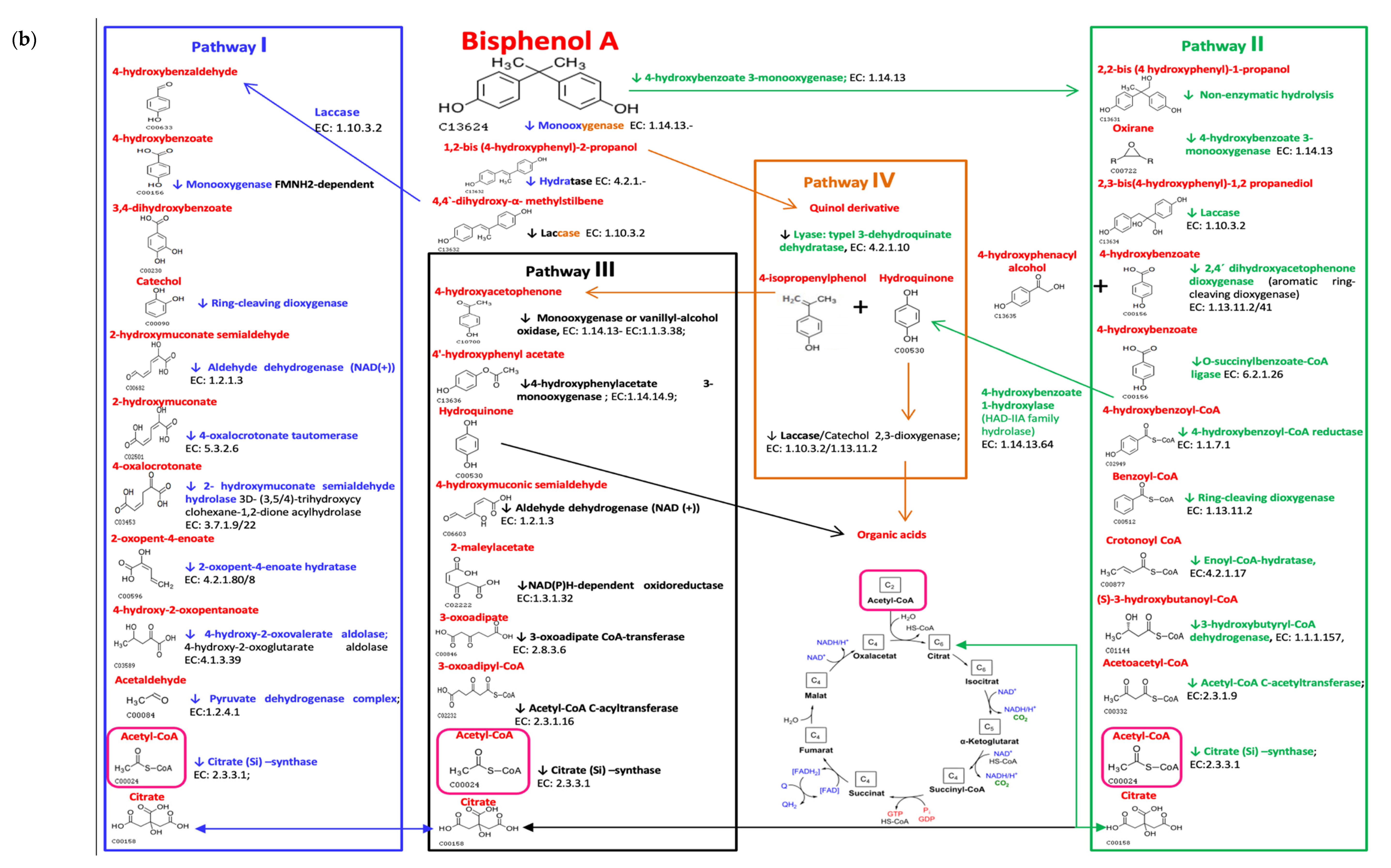 Nutrients 14 00241 g002b Nutrients 14 00241 g002b