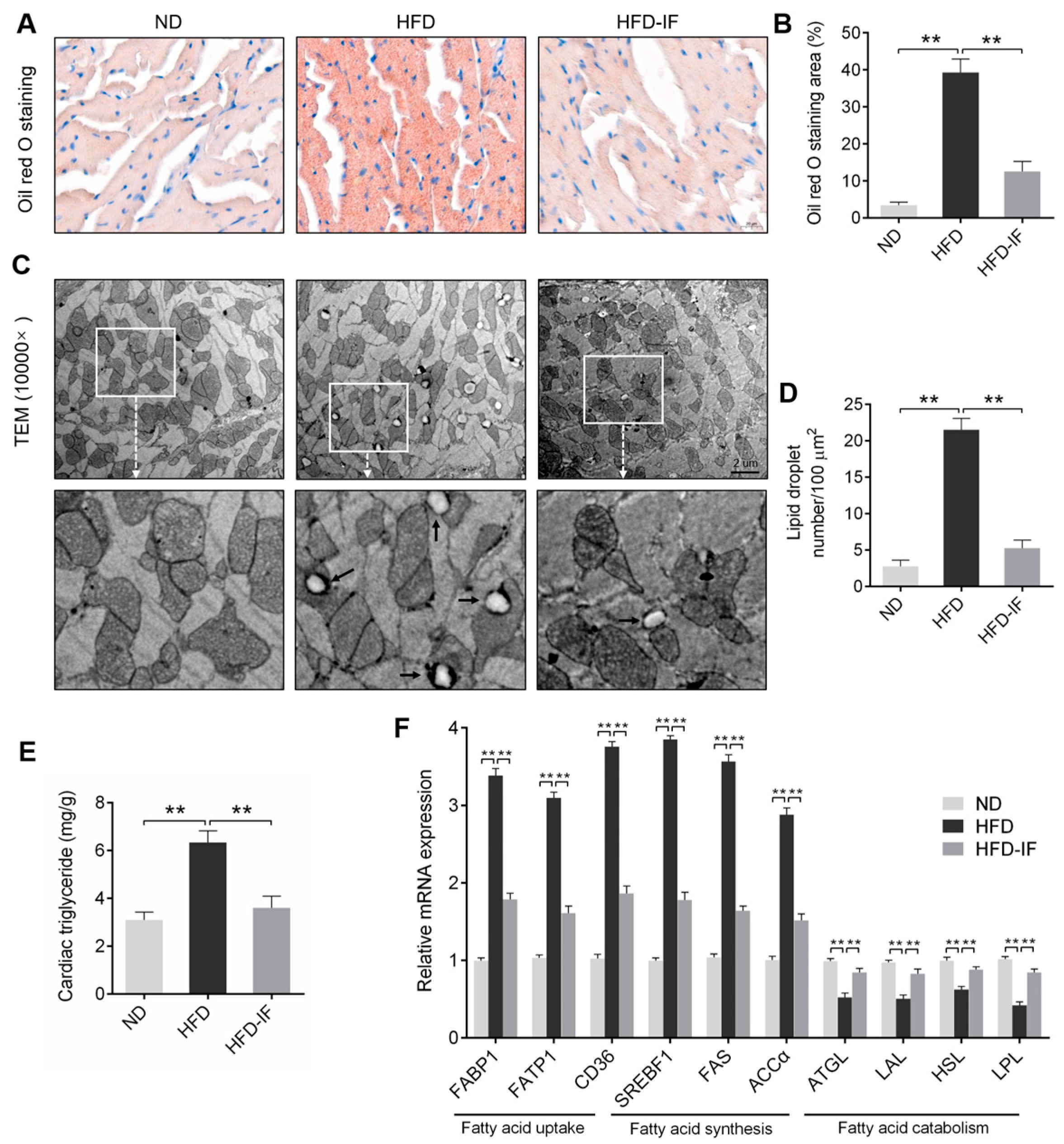 Nutrients 14 00251 g004 550