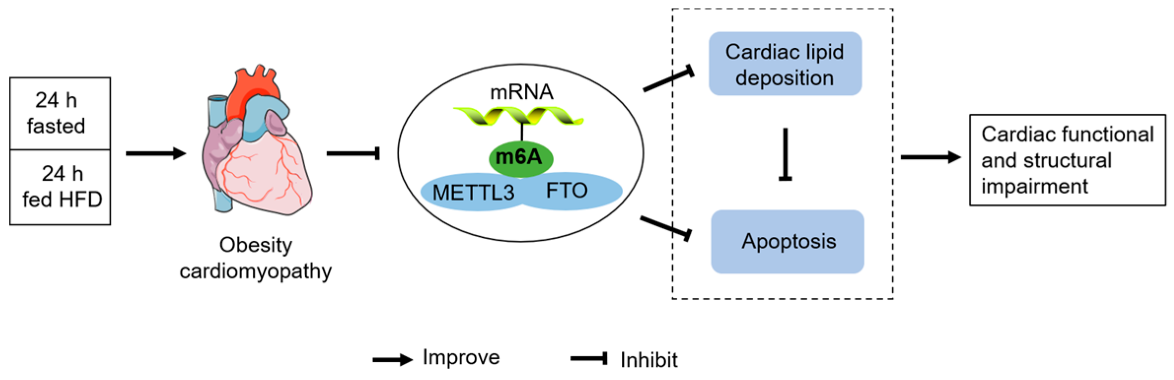 Nutrients 14 00251 g007 550