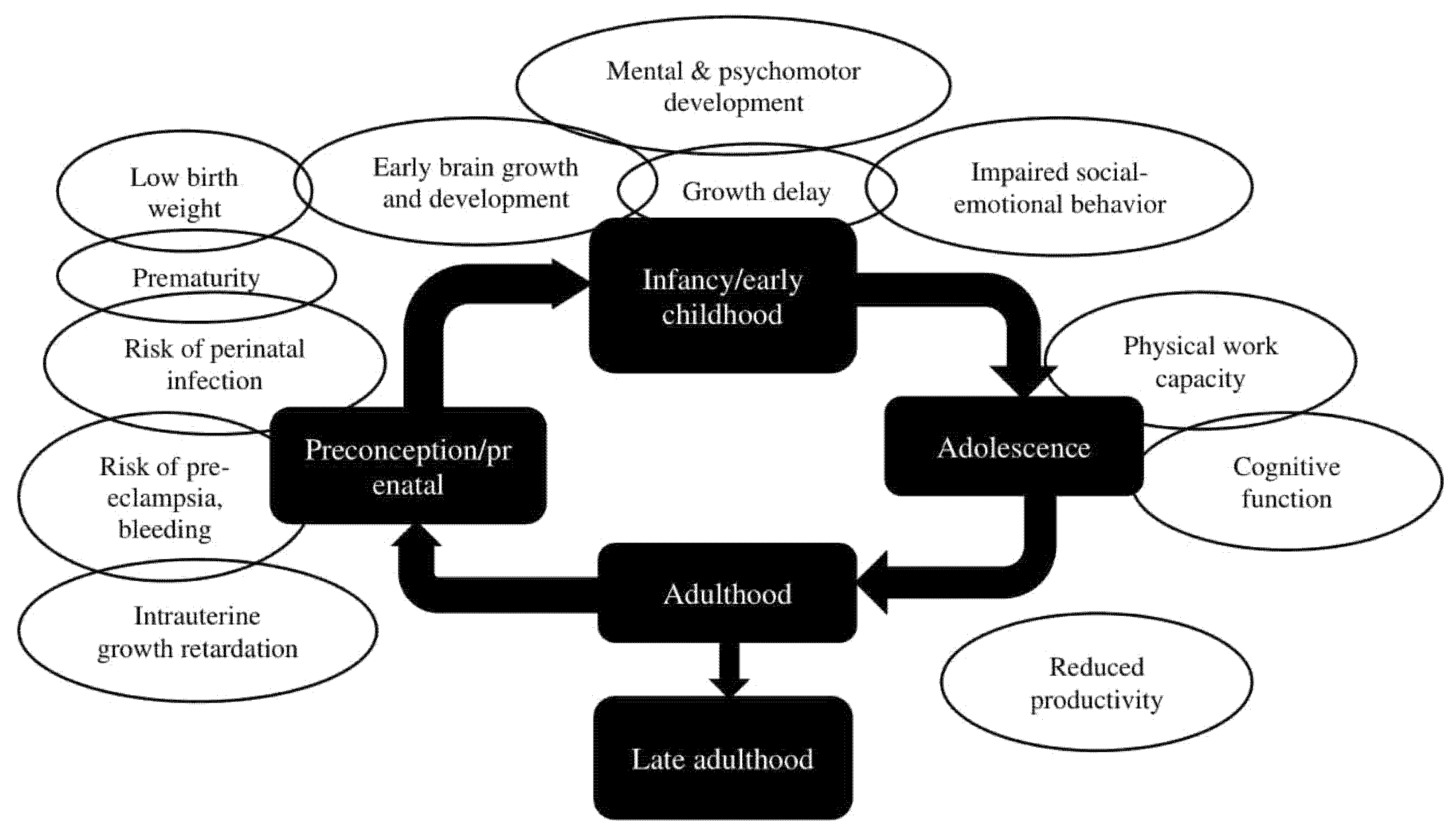Nutrients 14 00277 g002 550