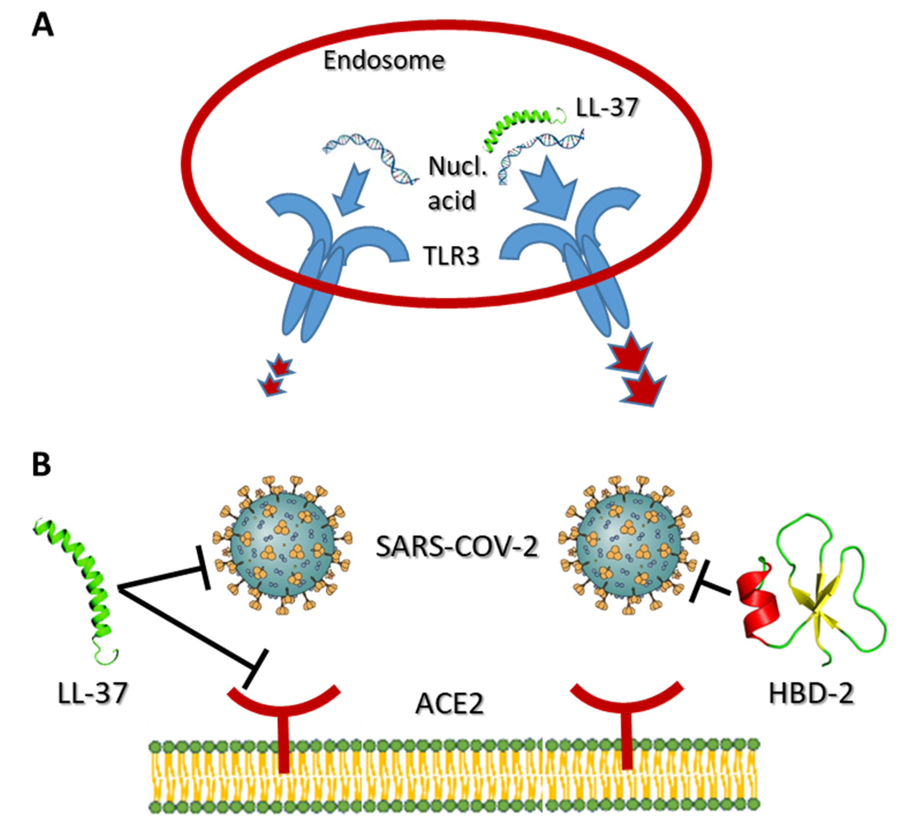 Nutrients 14 00284 g001 550