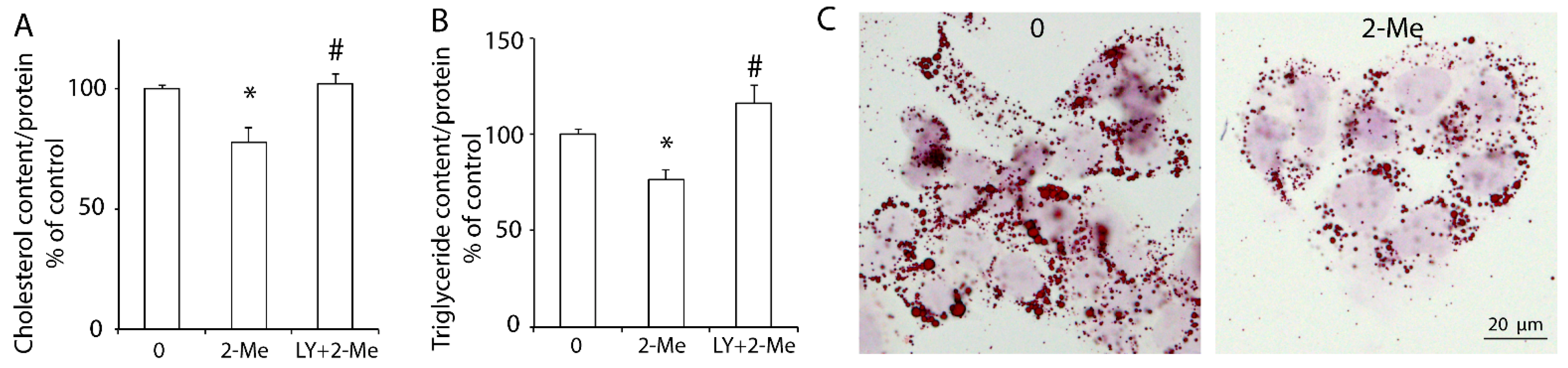 Nutrients 14 00288 g003 Nutrients 14 00288 g003