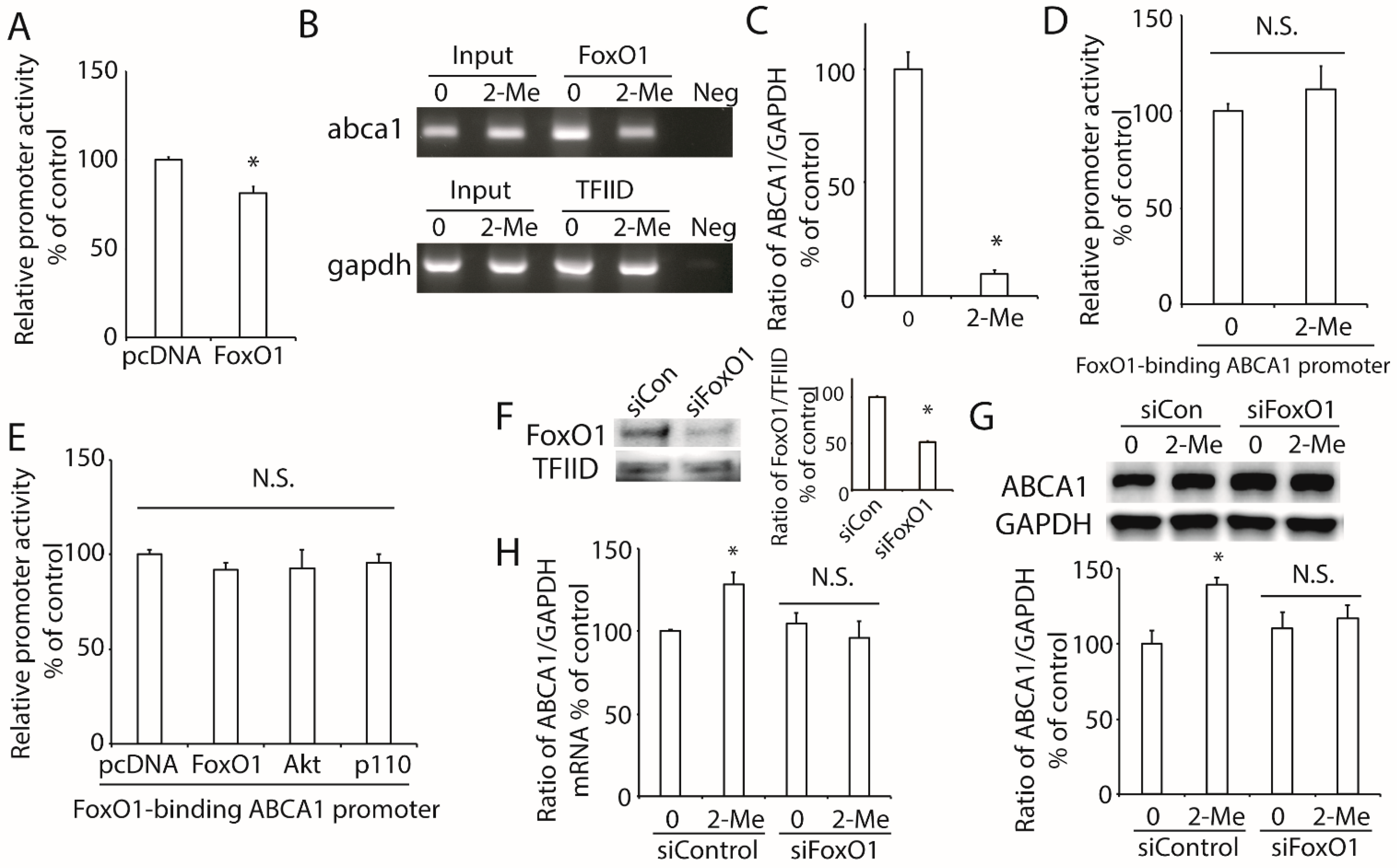 Nutrients 14 00288 g005 Nutrients 14 00288 g005