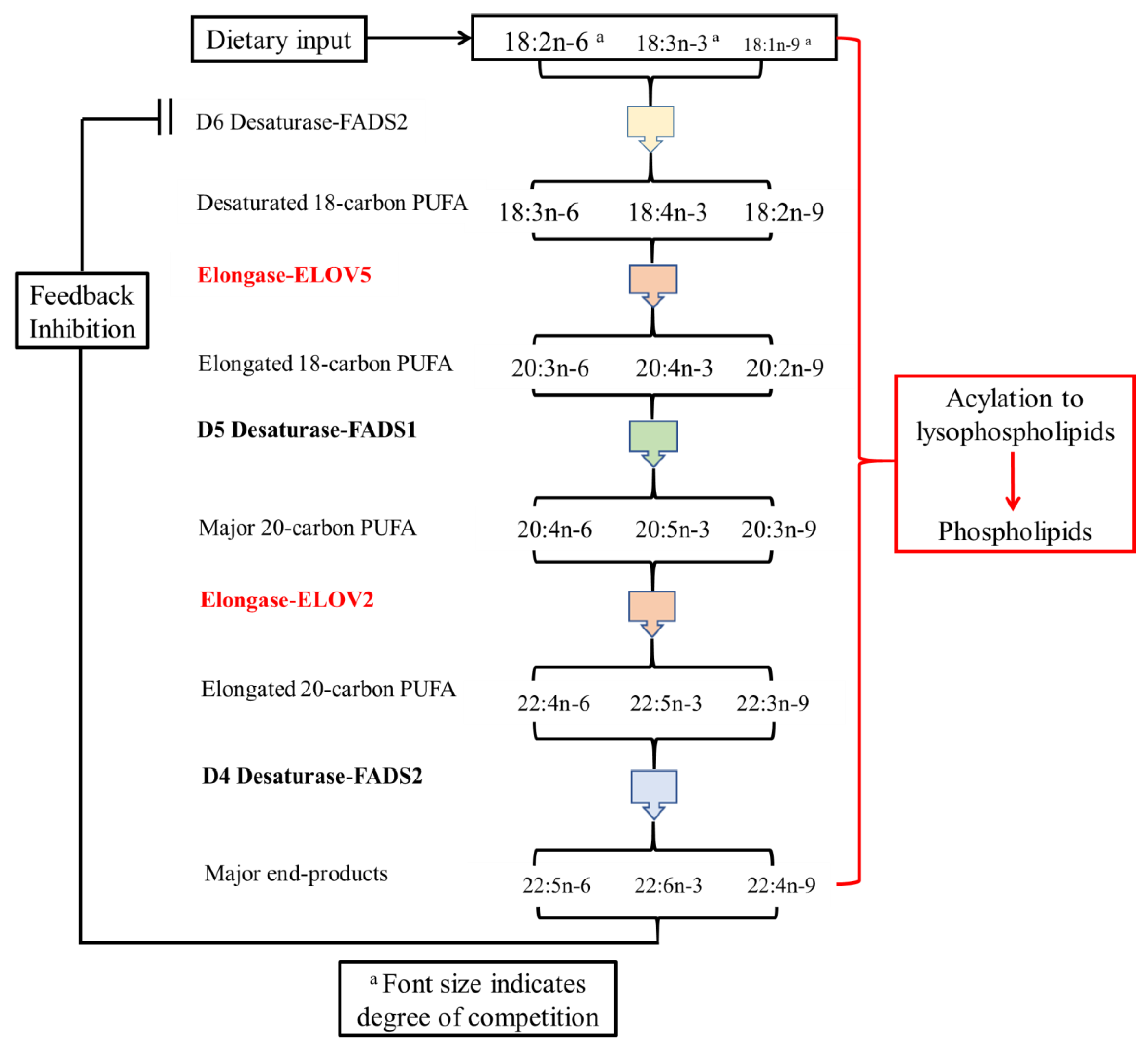 Nutrients 14 00301 g0a1