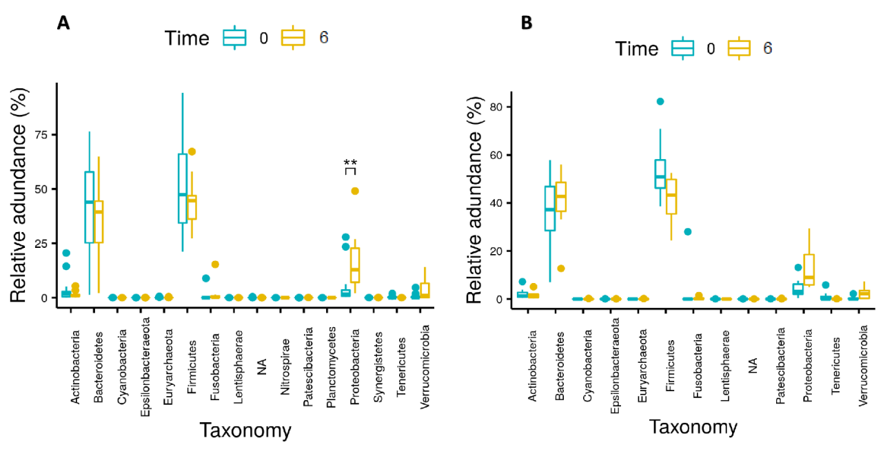 Nutrients | Free Full-Text | The Effects of One Anastomosis Gastric ...