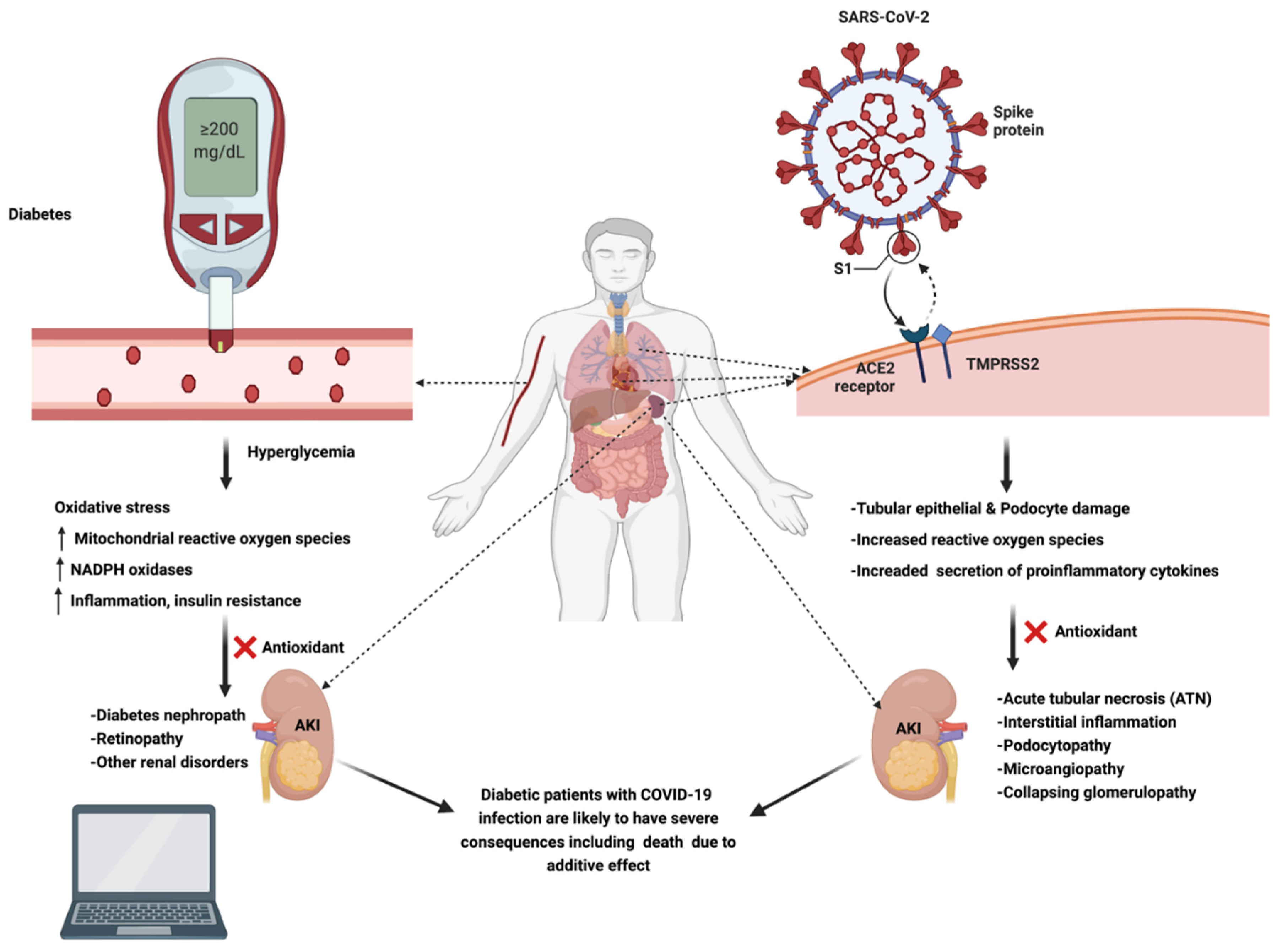 Nutrients 14 00321 g002