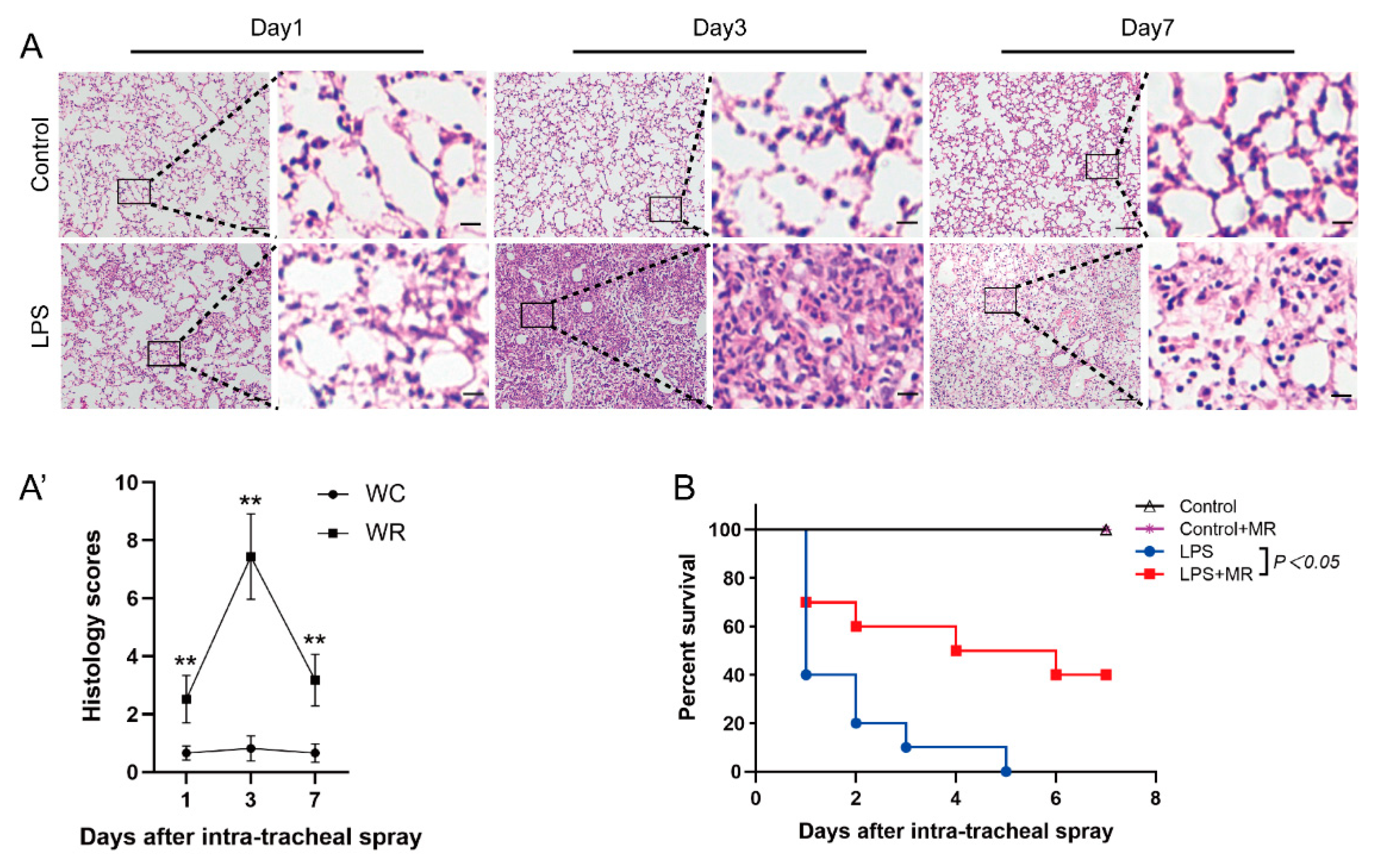Nutrients 14 00322 g001 Nutrients 14 00322 g001