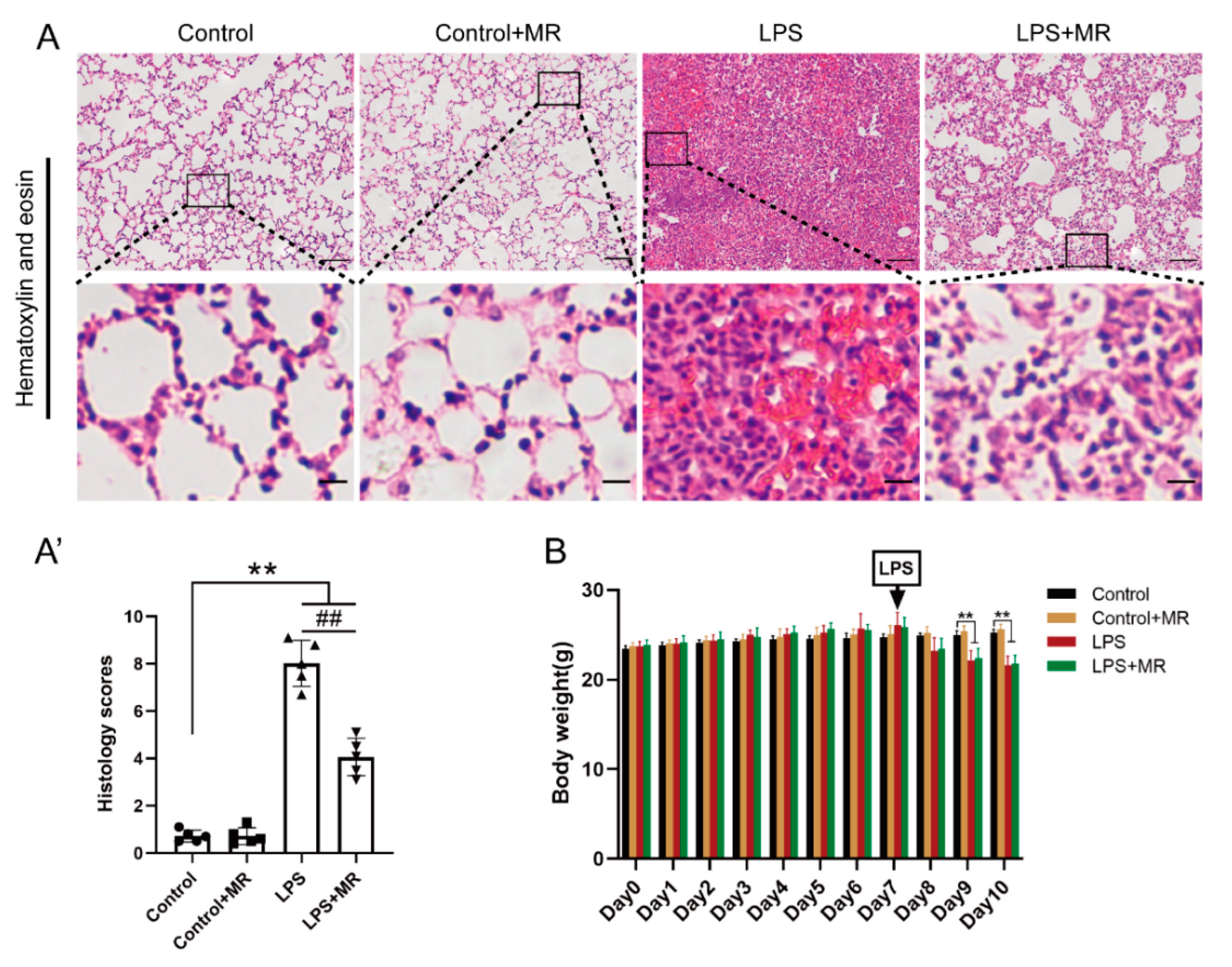 Nutrients 14 00322 g002 Nutrients 14 00322 g002