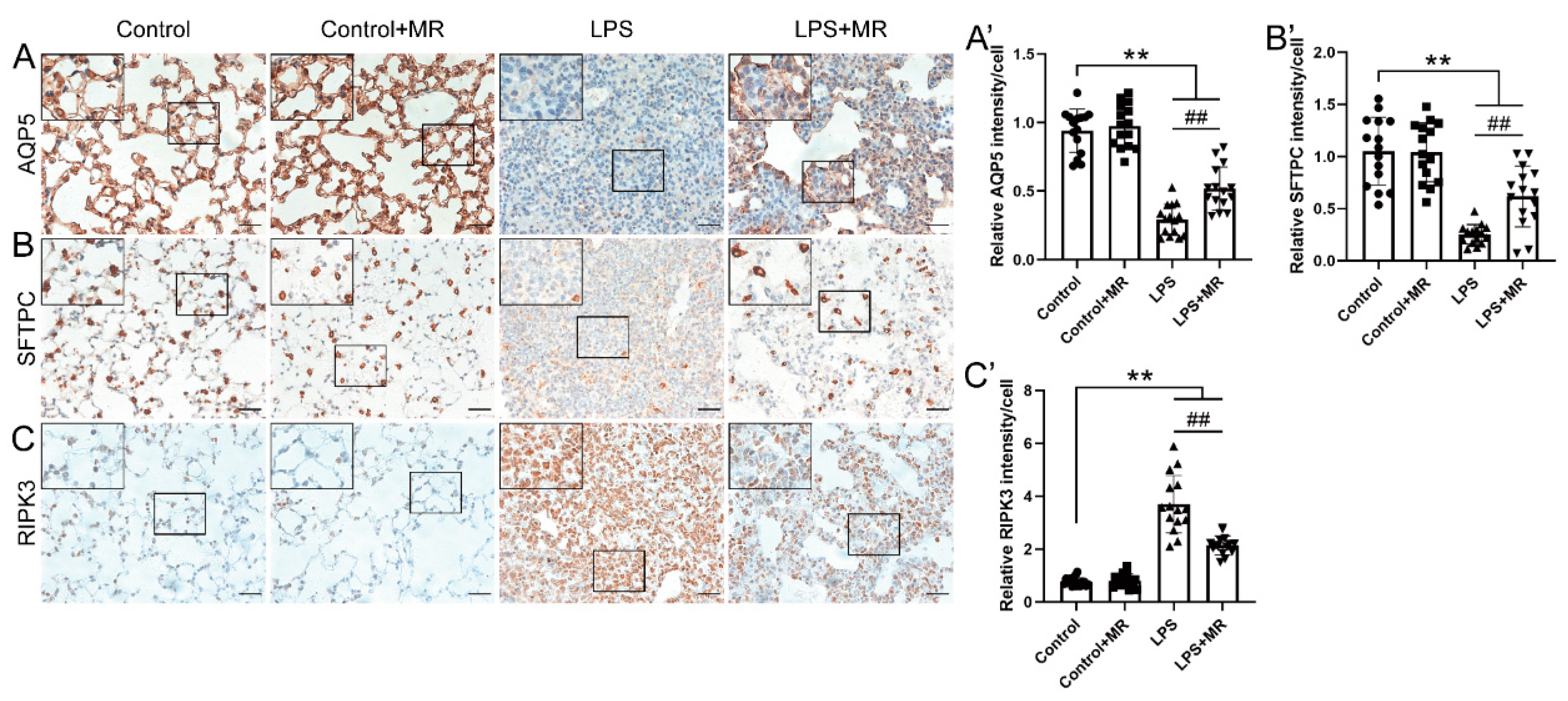 Nutrients 14 00322 g003 Nutrients 14 00322 g003
