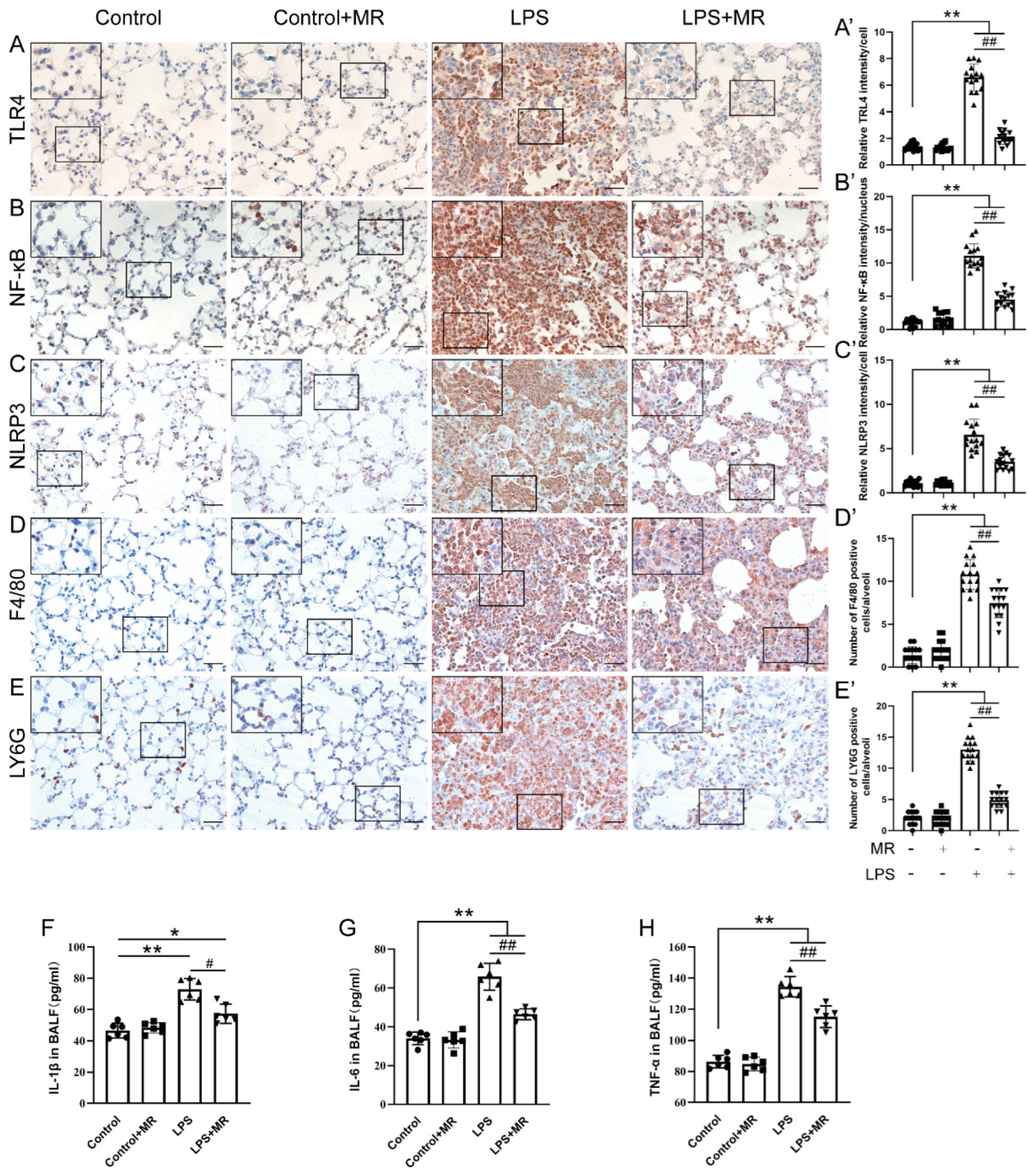 Nutrients 14 00322 g004 Nutrients 14 00322 g004
