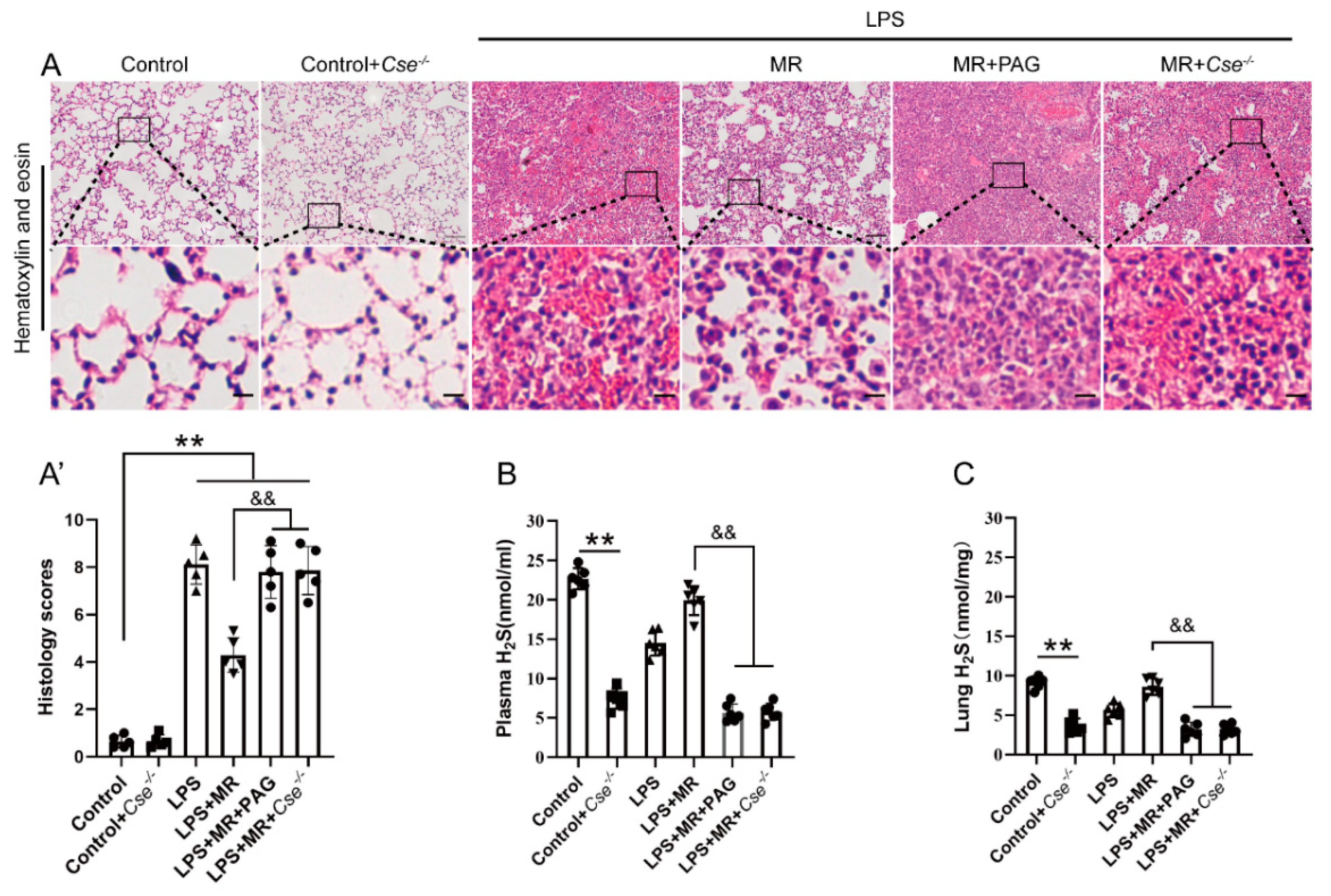 Nutrients 14 00322 g006 Nutrients 14 00322 g006