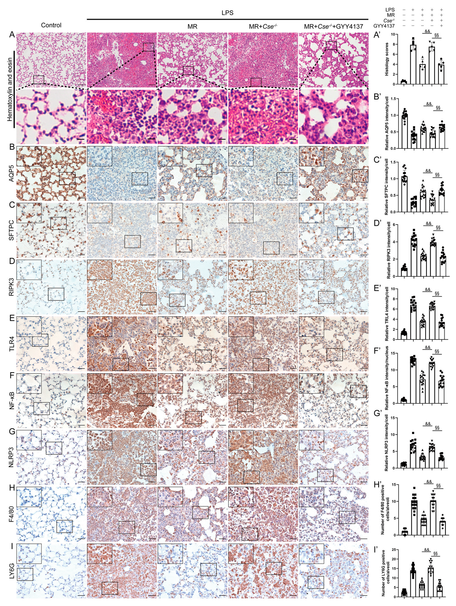 Nutrients 14 00322 g007 Nutrients 14 00322 g007