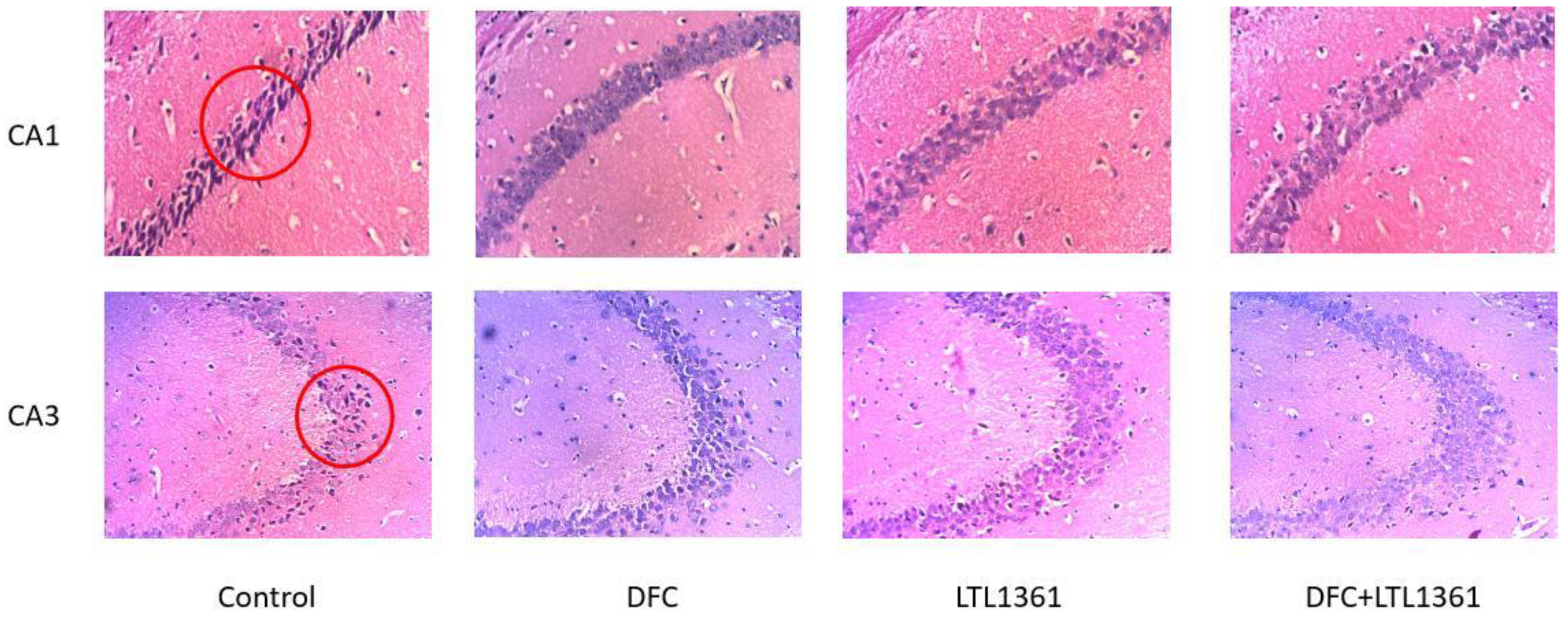 Nutrients 14 00324 g003 Nutrients 14 00324 g003