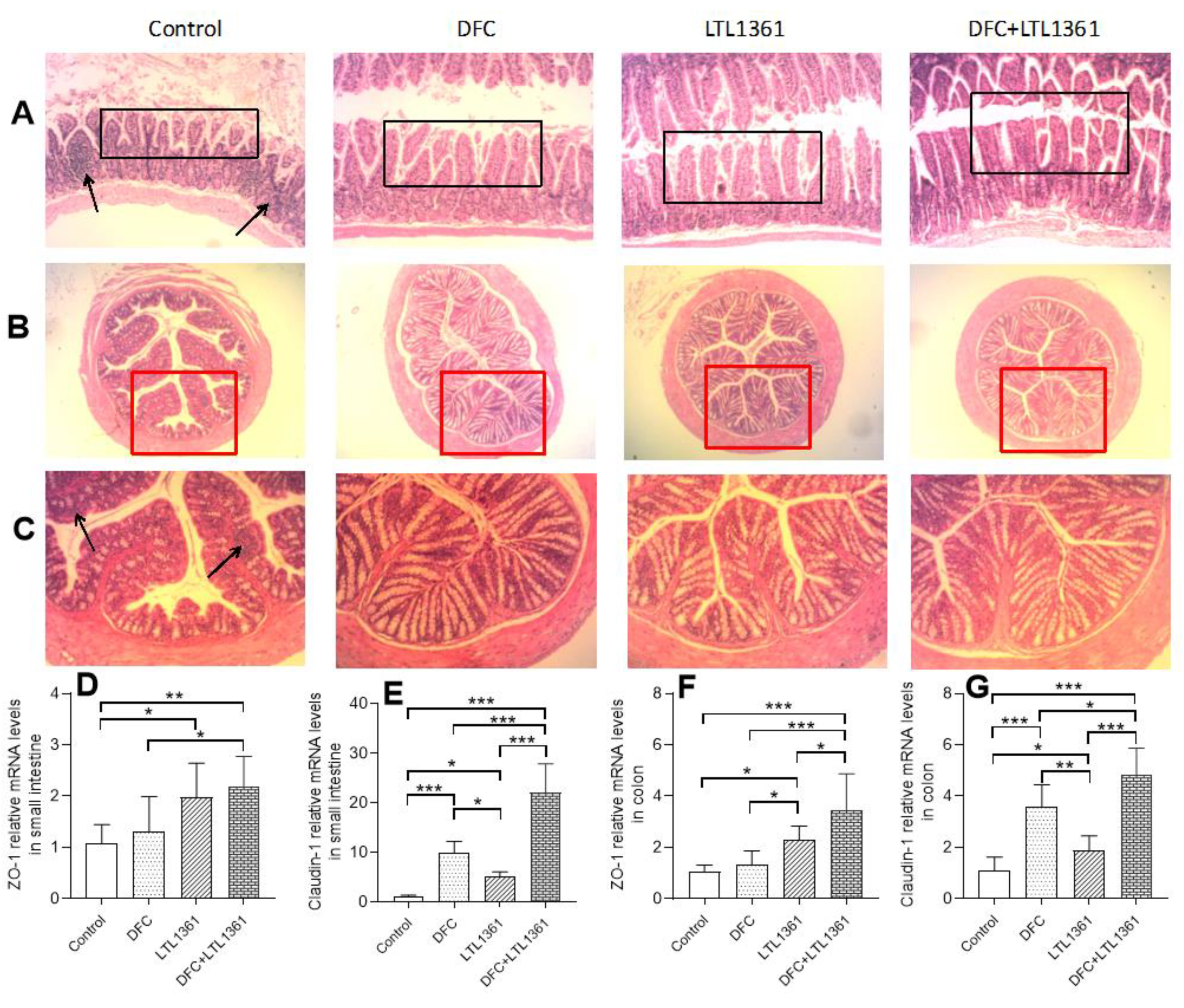 Nutrients 14 00324 g007 Nutrients 14 00324 g007