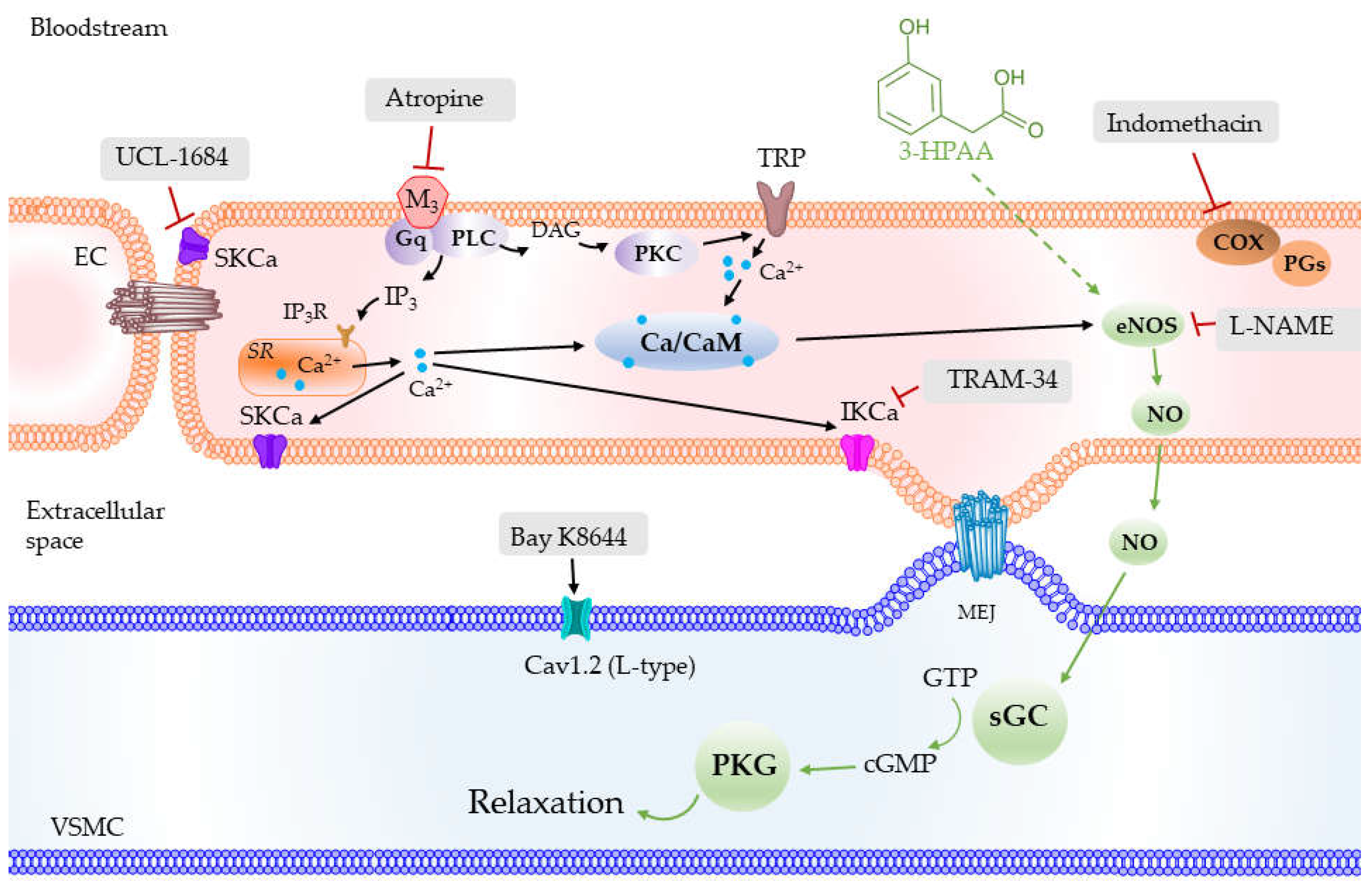 Nutrients 14 00328 g008