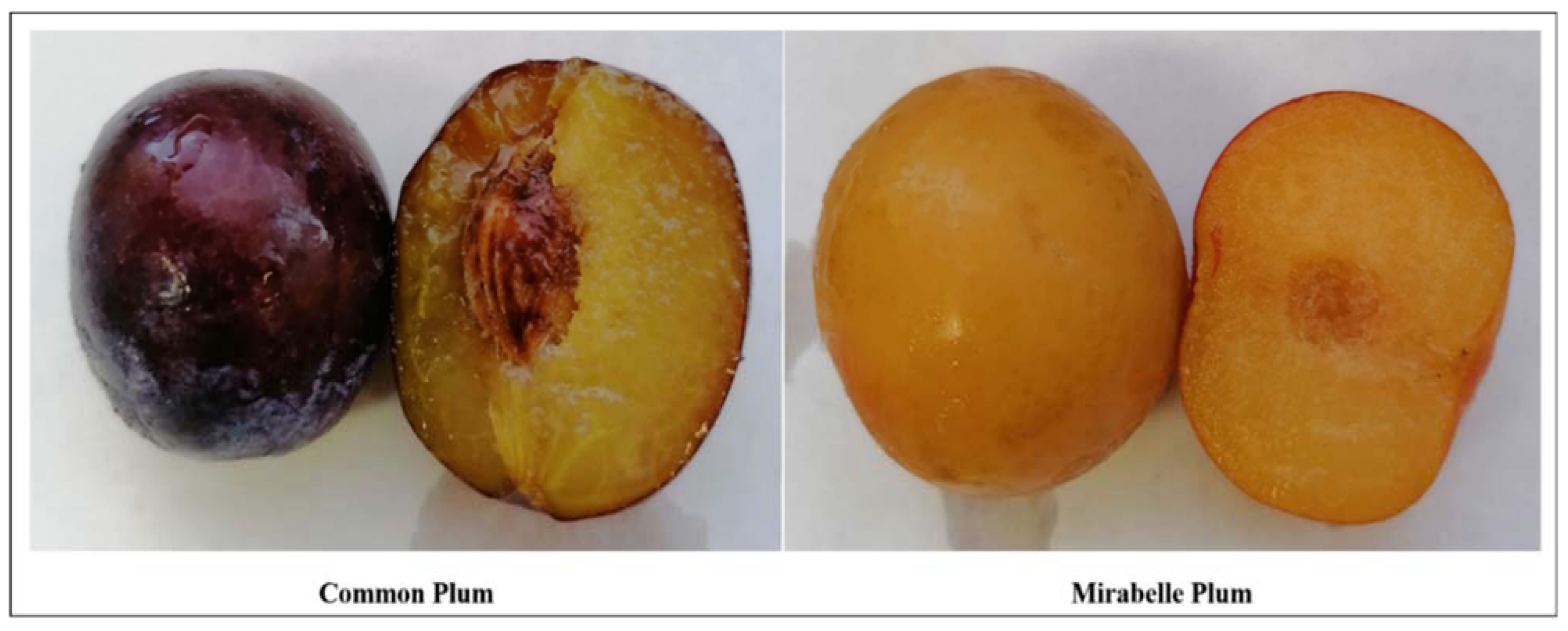 Nutrients 14 00340 g001 Nutrients 14 00340 g001