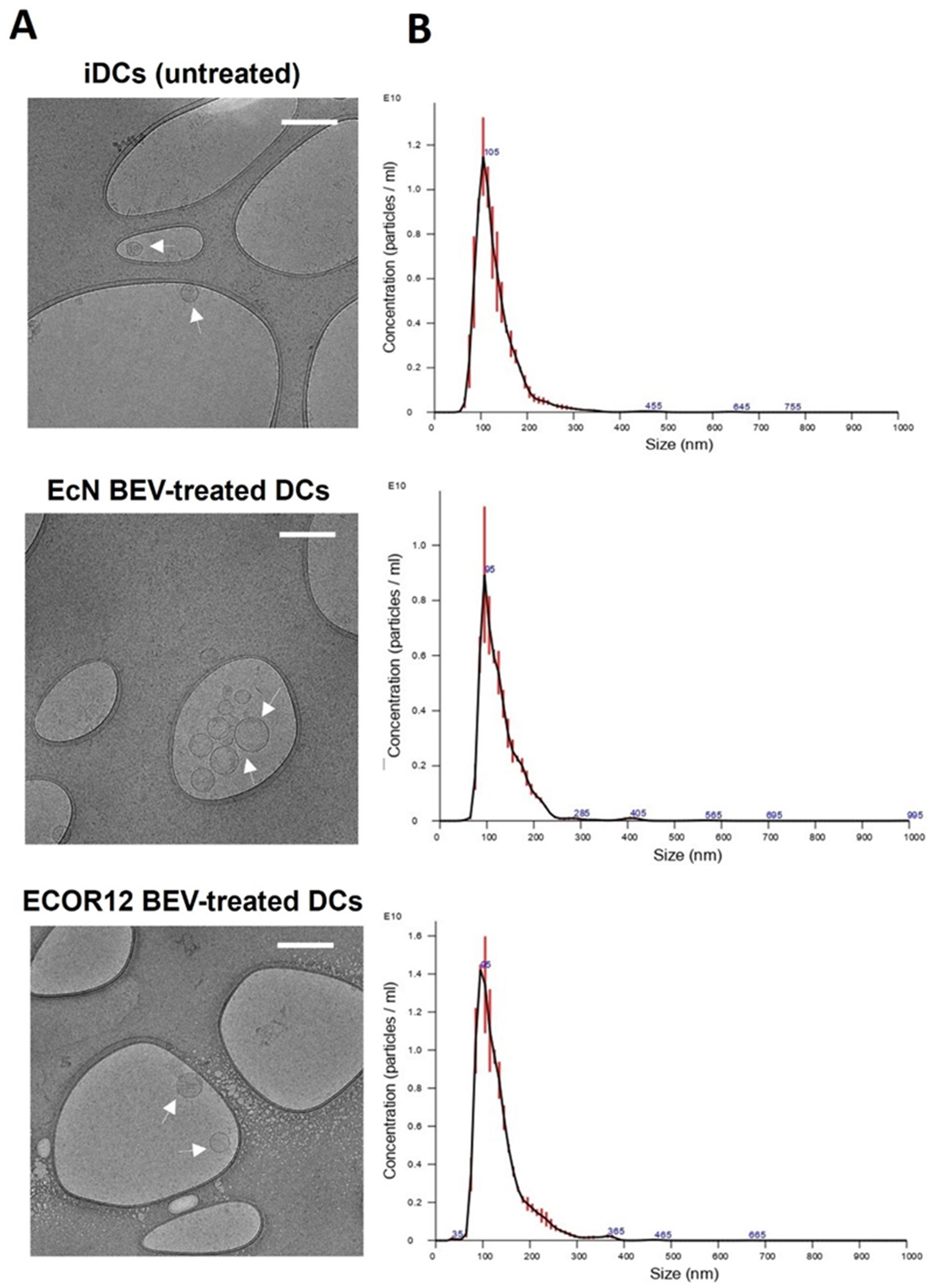 Nutrients 14 00344 g003