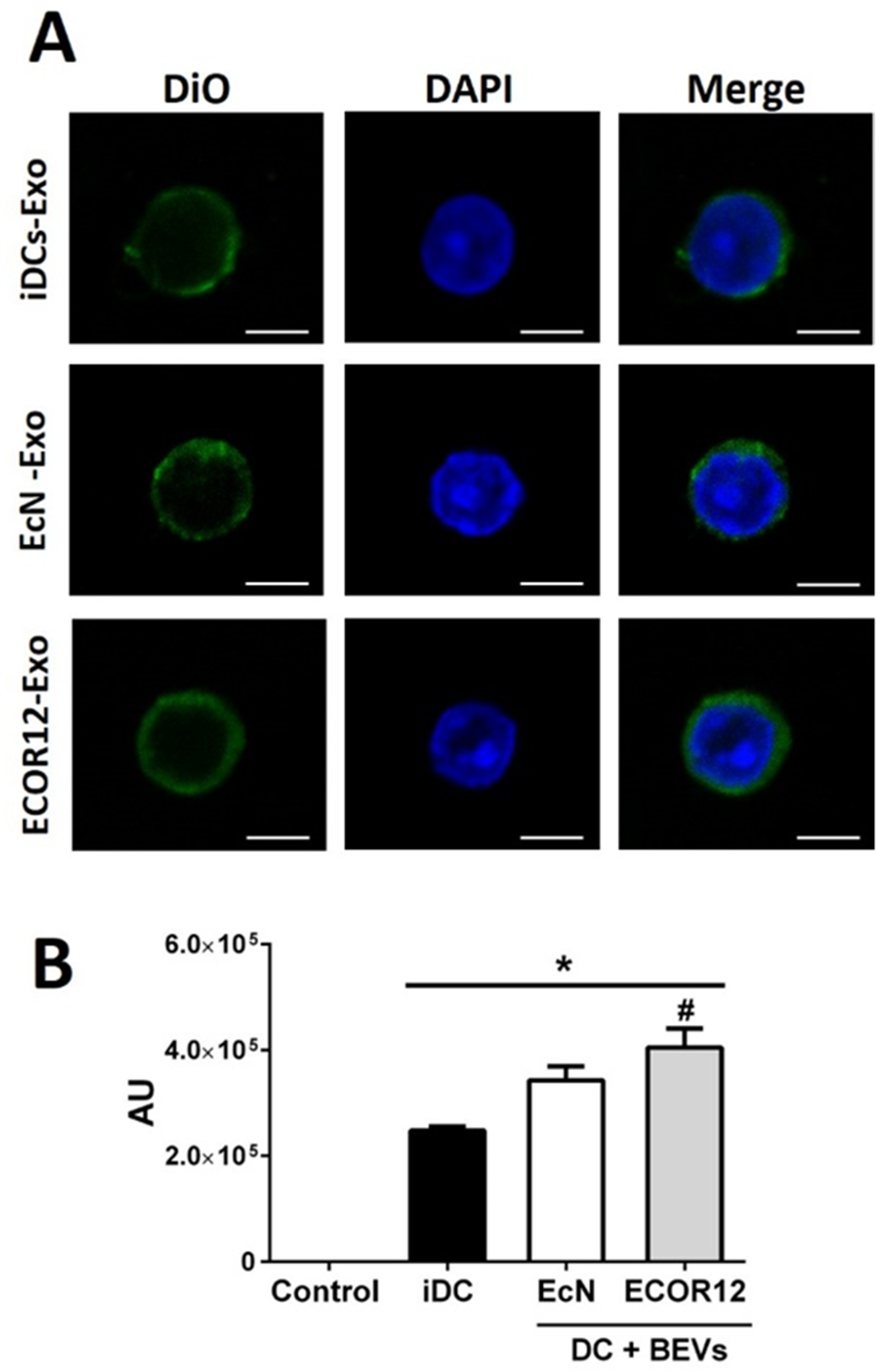 Nutrients 14 00344 g005