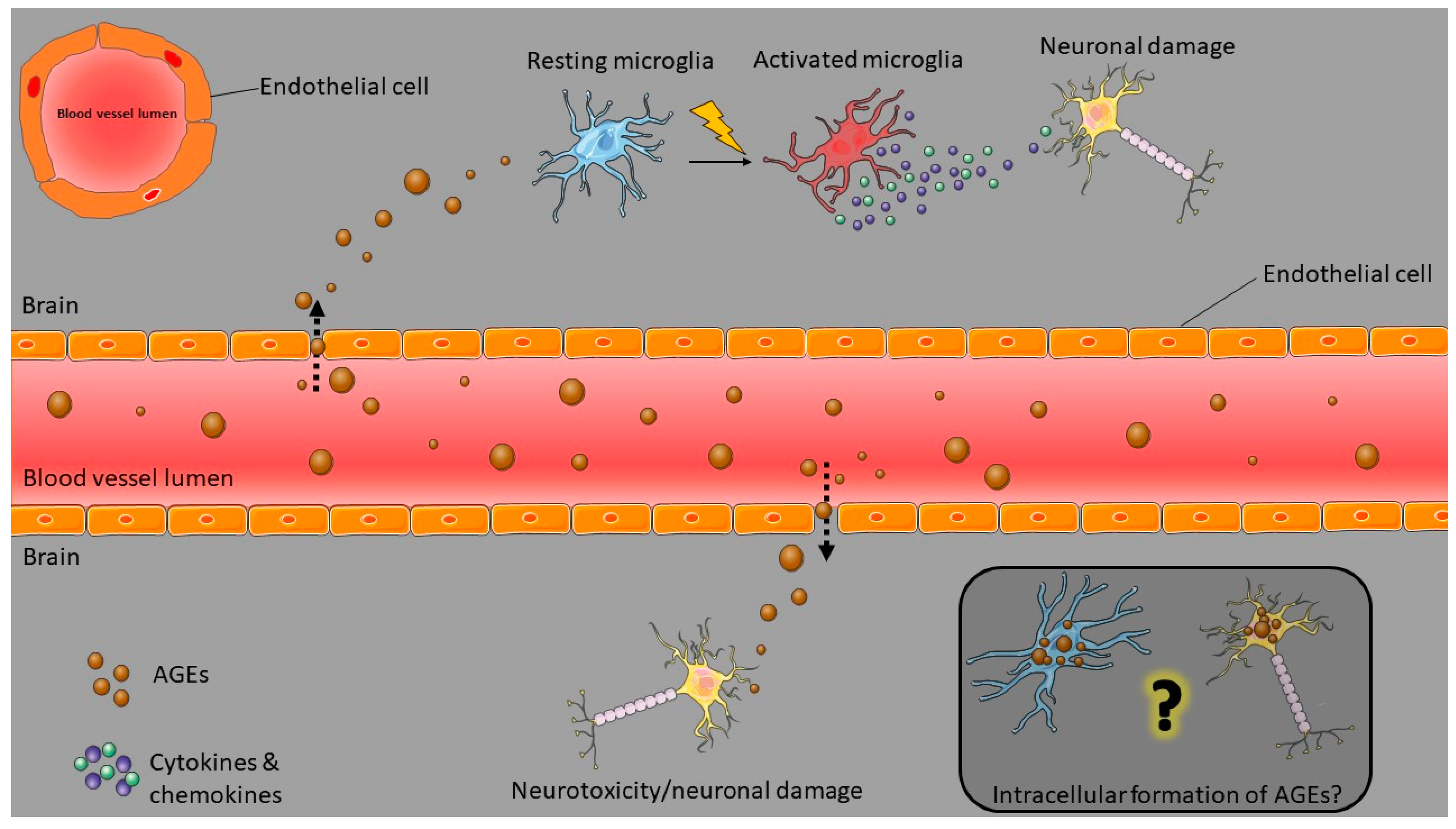 Nutrients 14 00363 g002 Nutrients 14 00363 g002