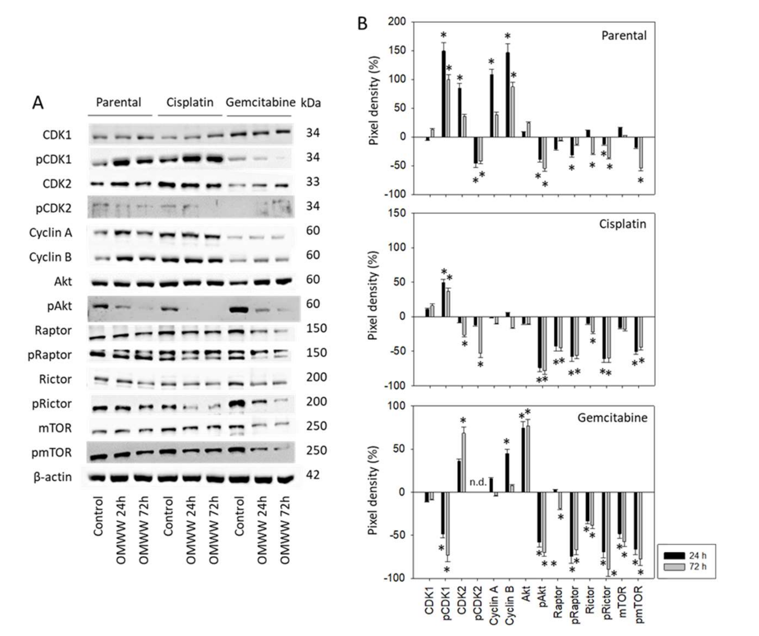 Nutrients 14 00369 g006 550