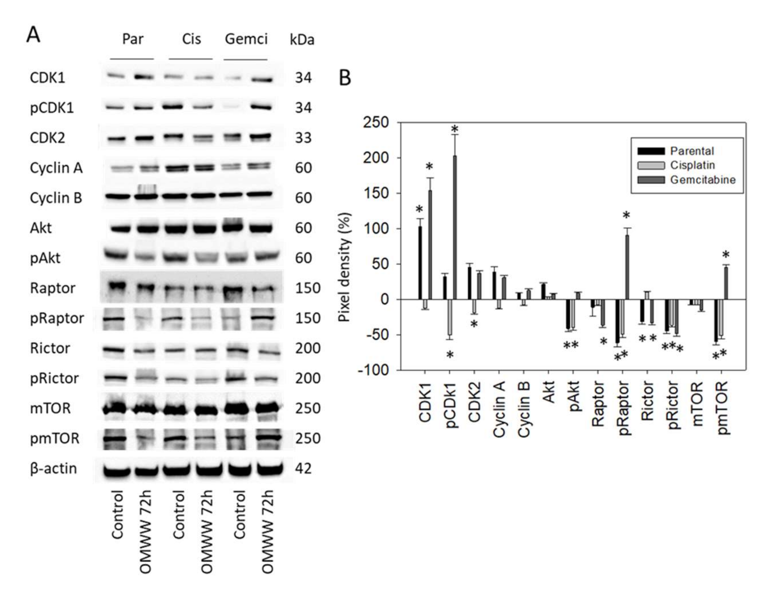 Nutrients 14 00369 g007 550