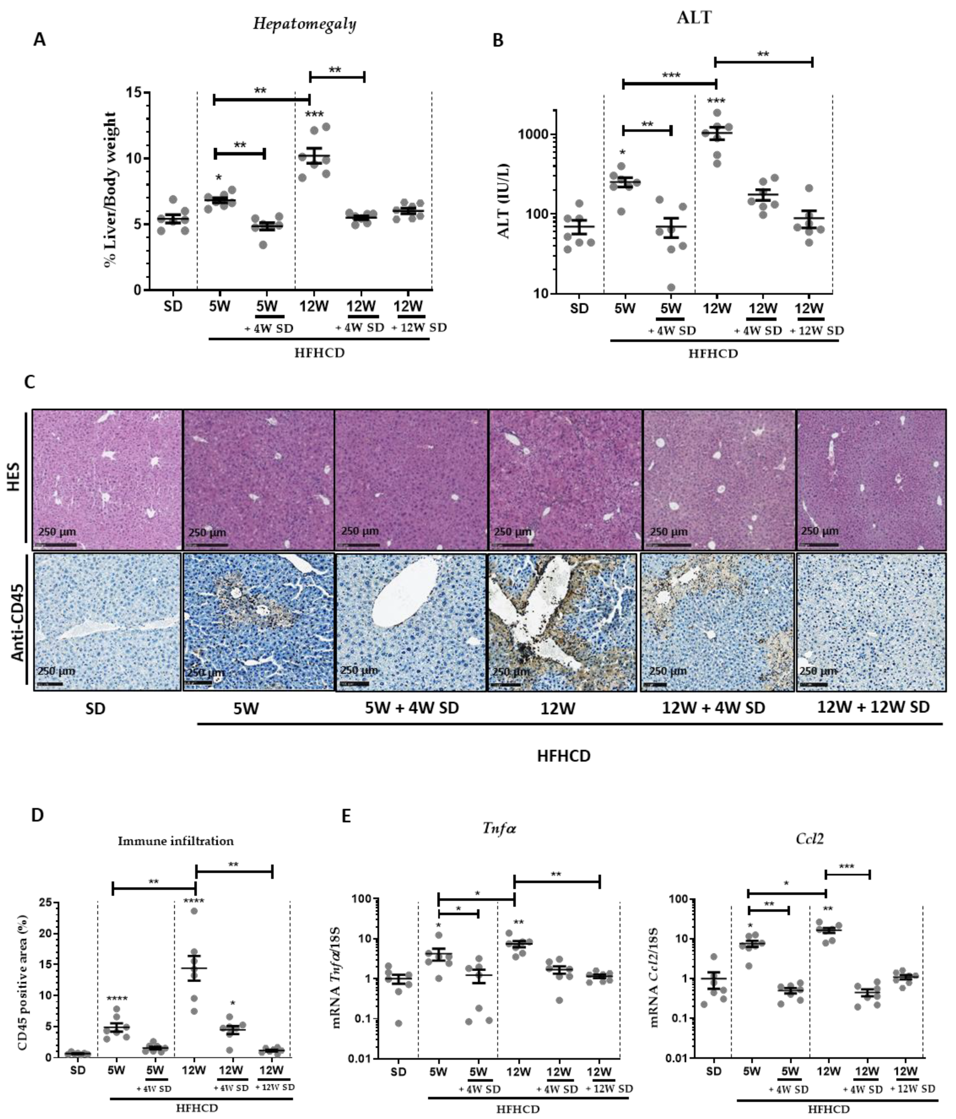 Nutrients 14 00386 g001 Nutrients 14 00386 g001