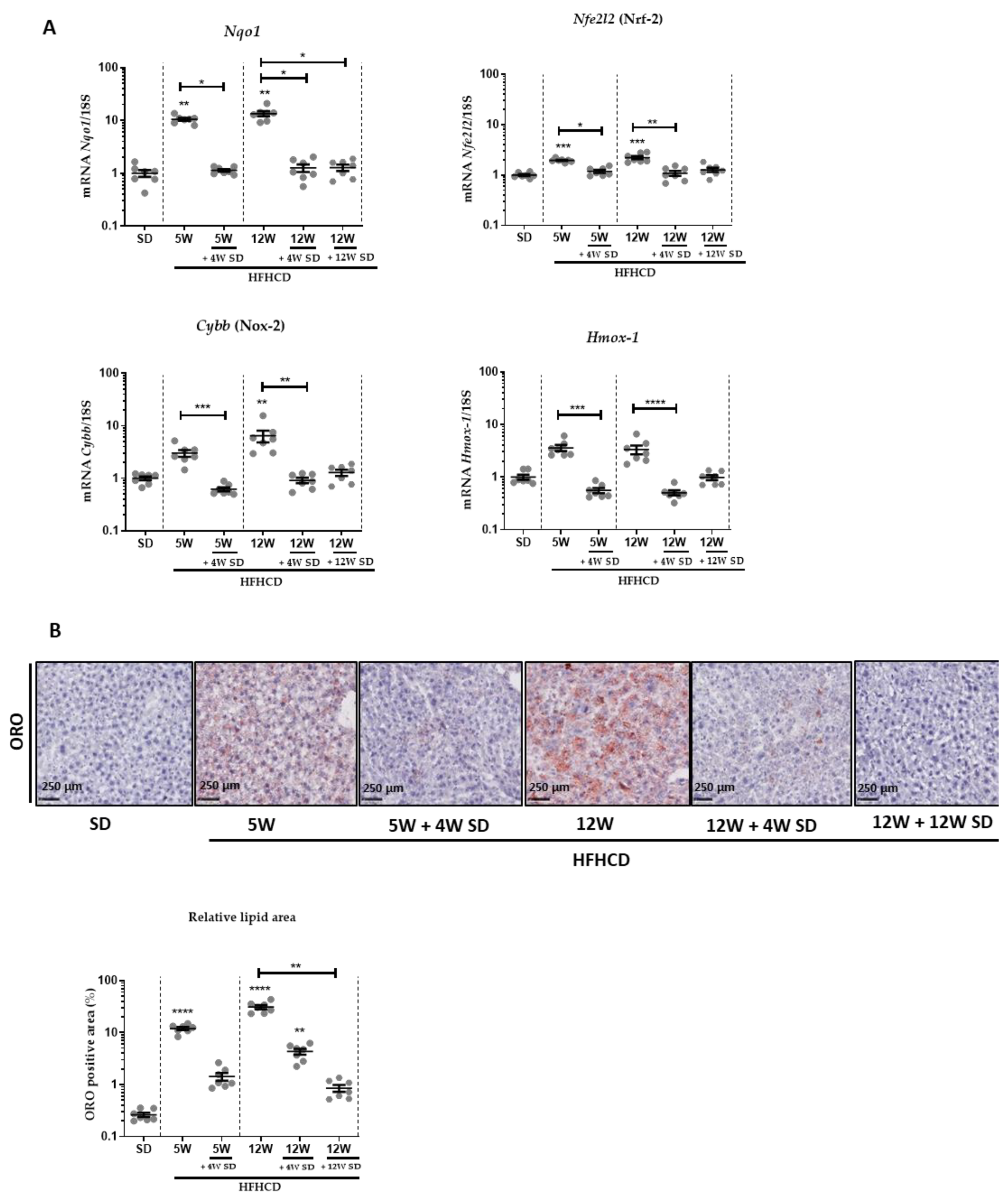 Nutrients 14 00386 g002 Nutrients 14 00386 g002