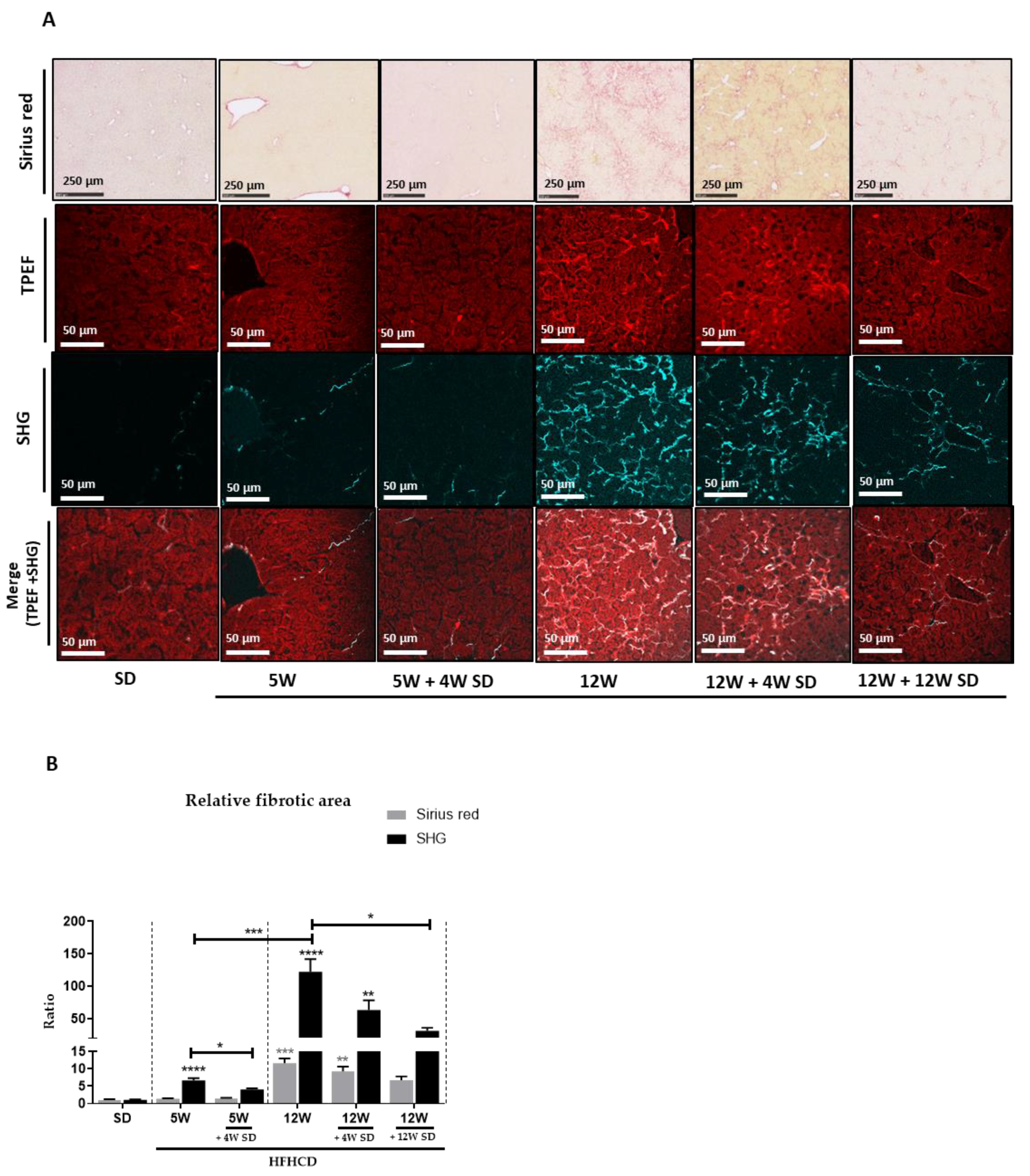 Nutrients 14 00386 g003 Nutrients 14 00386 g003