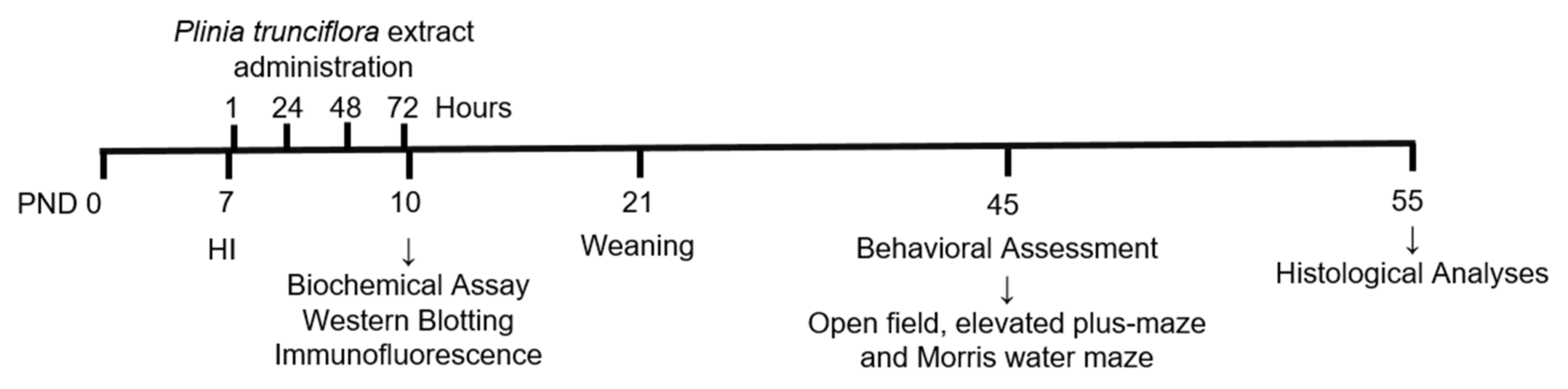 Nutrients 14 00395 g001 550