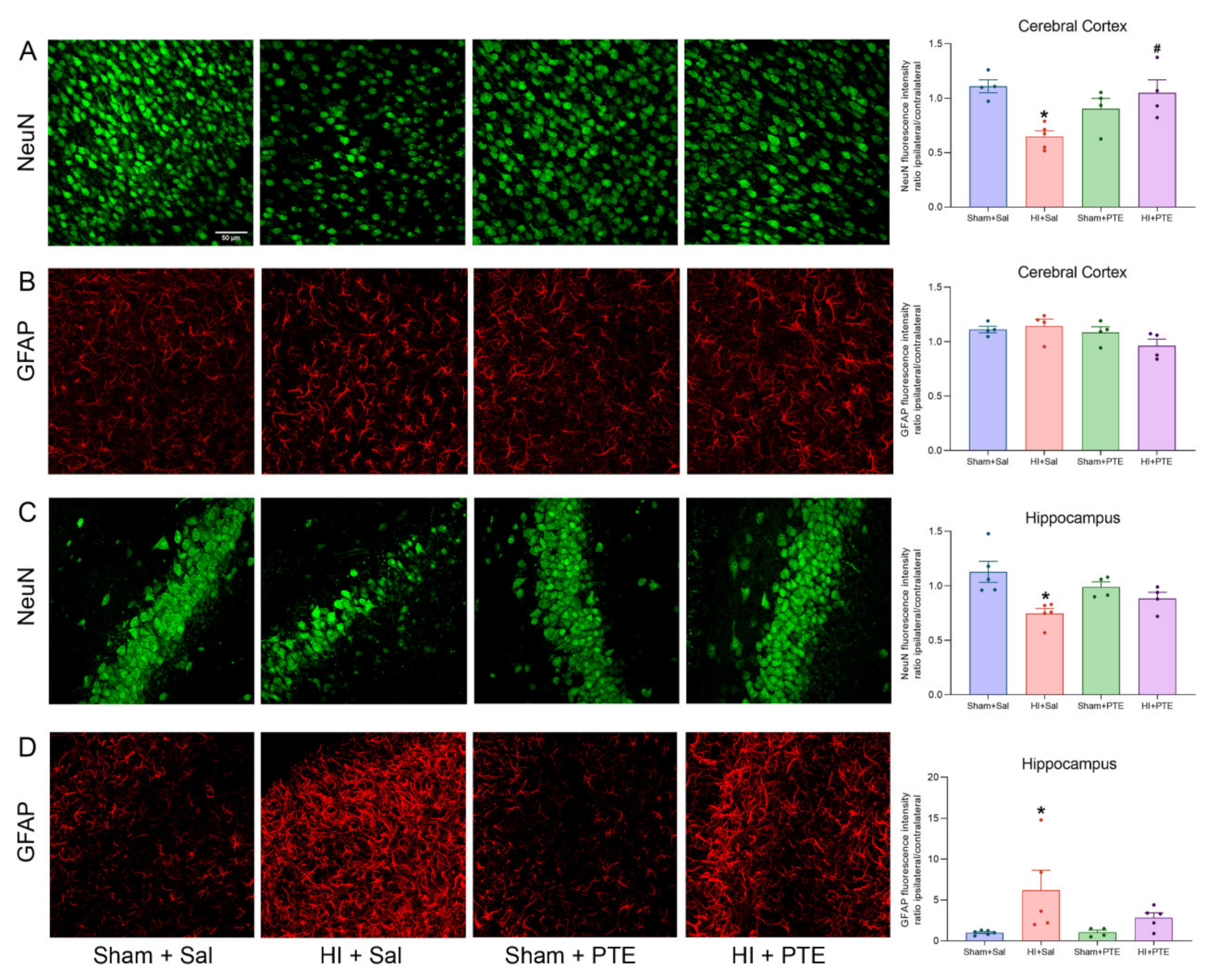 Nutrients 14 00395 g005 550