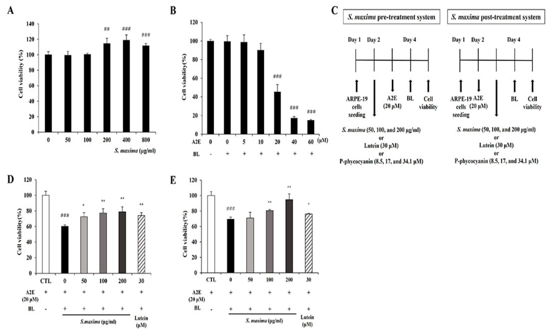 Nutrients 14 00401 g001