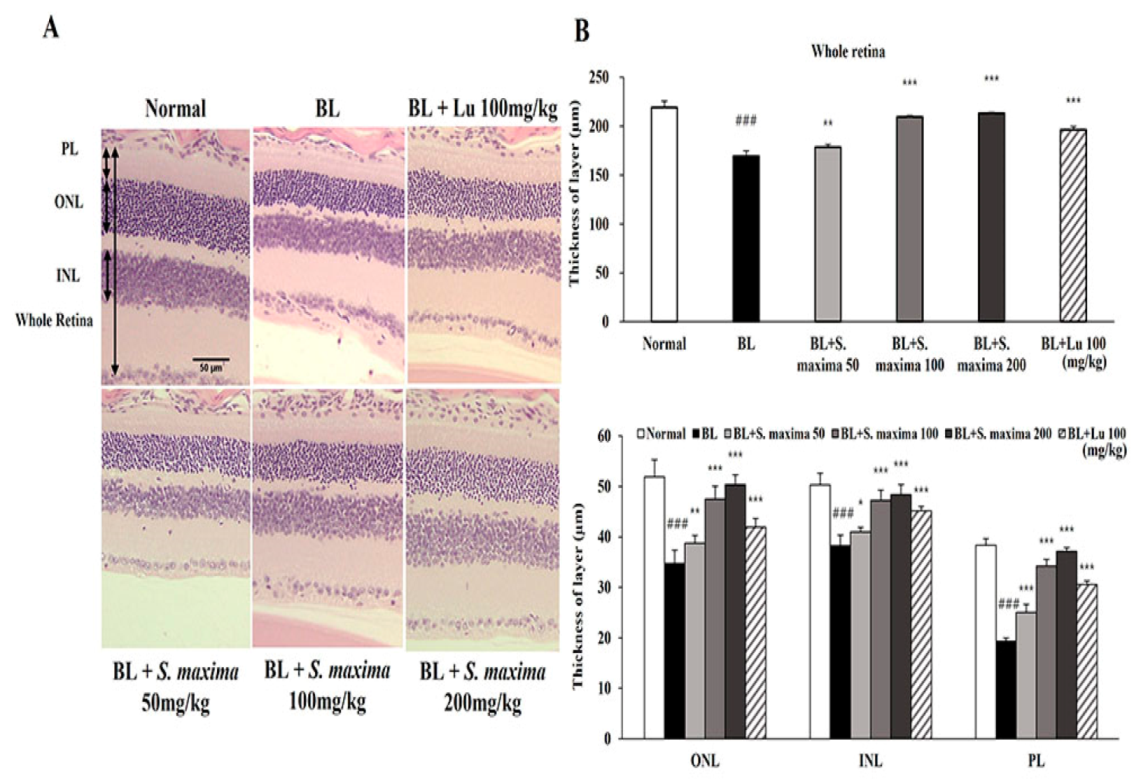 Nutrients 14 00401 g004