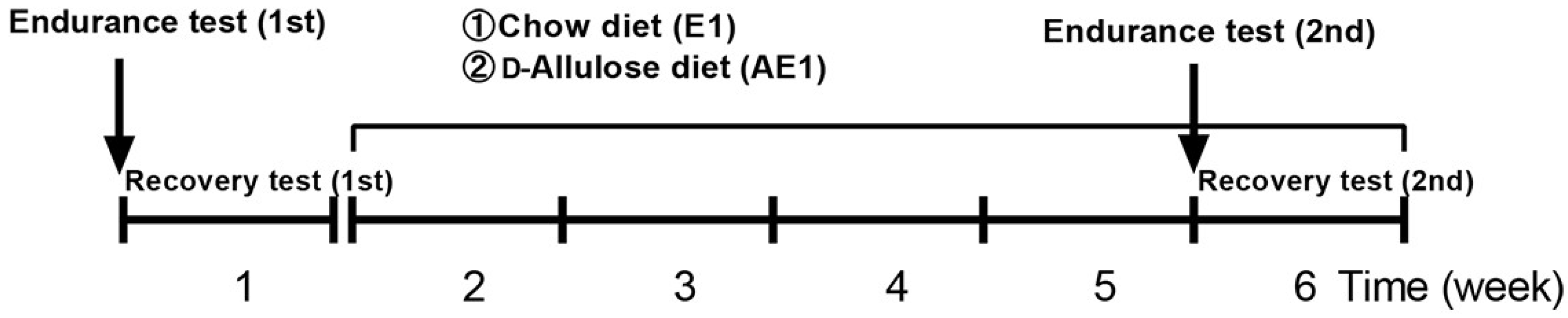 Nutrients 14 00404 g001