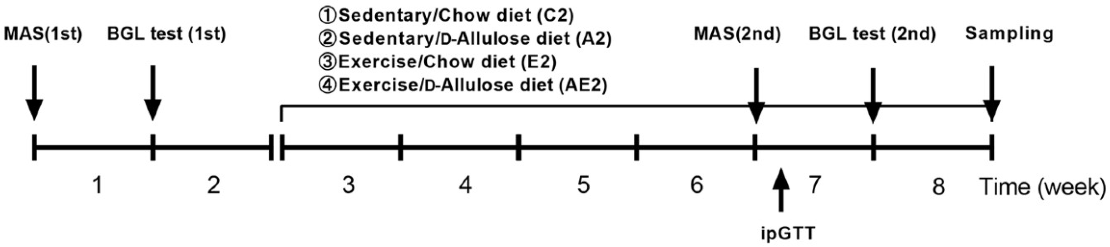 Nutrients 14 00404 g002