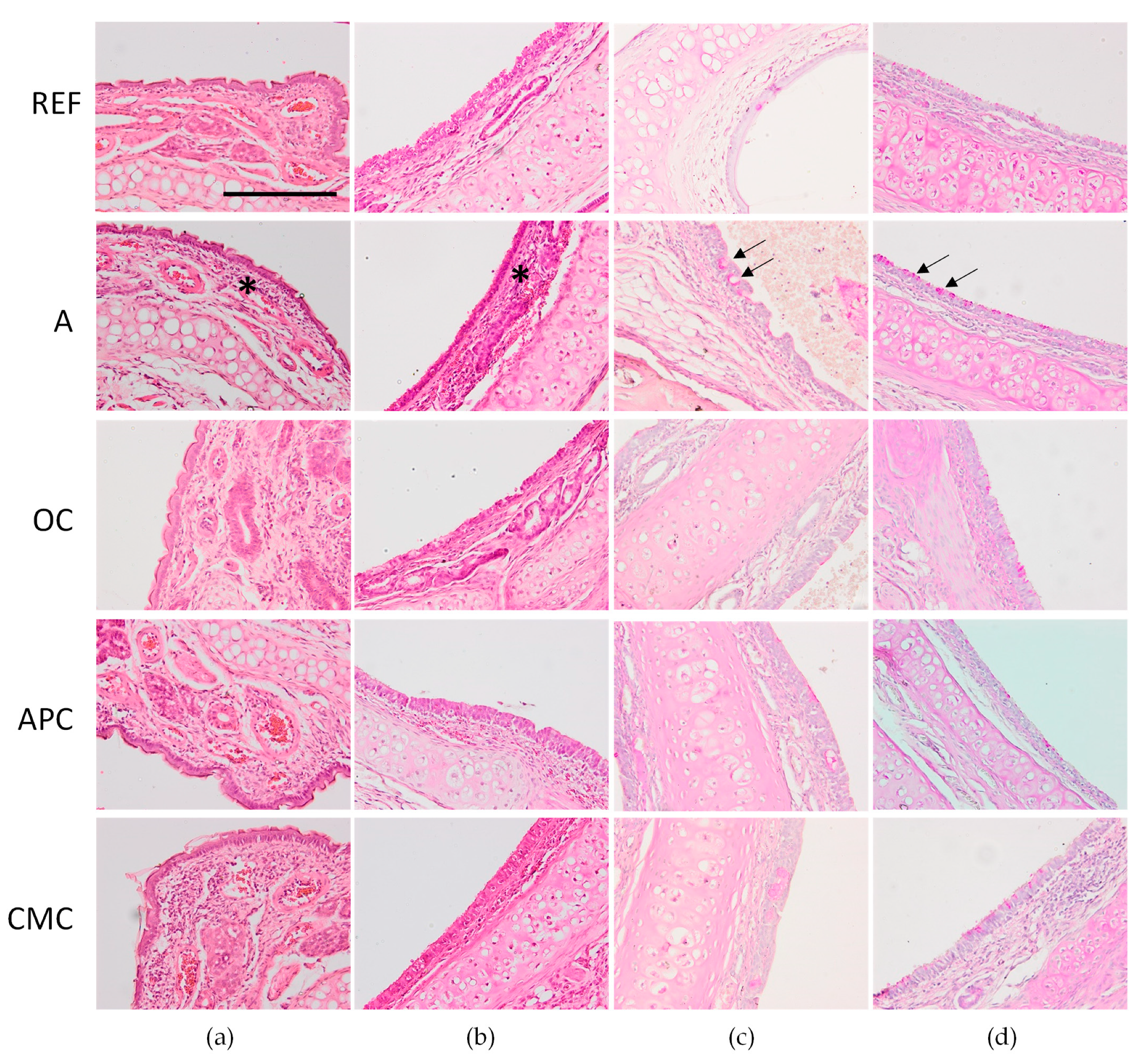 Nutrients 14 00410 g006 Nutrients 14 00410 g006