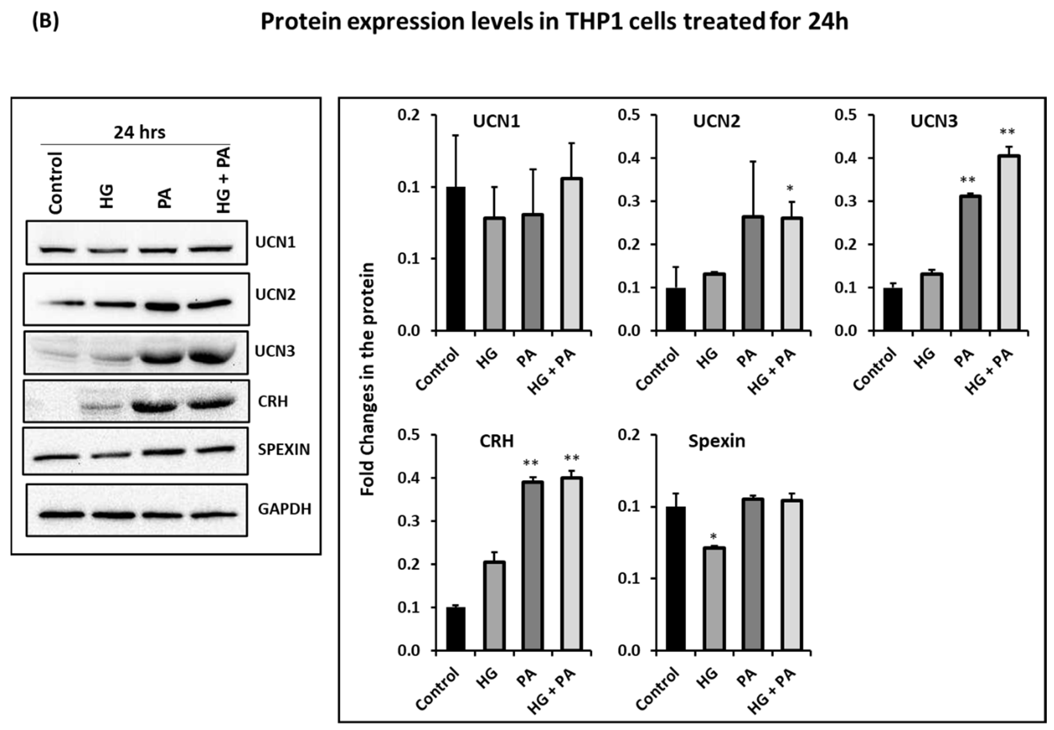 Nutrients 14 00429 g003b Nutrients 14 00429 g003b